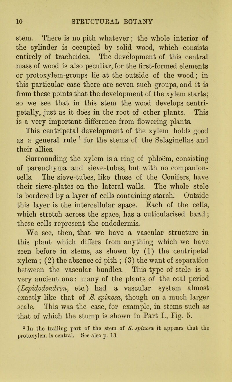 stem. There is no pith whatever; the whole interior of the cylinder is occupied by solid wood, which consists entirely of tracheides. The development of this central mass of wood is also peculiar, for the first-formed elements or protoxylem-groups lie at the outside of the wood; in this particular case there are seven such groups, and it is from these points that the development of the xylem starts; so we see that in this stem the wood develops centri- petally, just as it does in the root of other plants. This is a very important difference from flowering plants. This centripetal development of the xylem holds good as a general rule 1 for the stems of the Selaginellas and their allies. Surrounding the xylem is a ring of phloem, consisting of parenchyma and sieve-tubes, but with no companion- cells. The sieve-tubes, like those of the Conifers, have their sieve-plates on the lateral walls. The whole stele is bordered by a layer of cells containing starch. Outside this layer is the intercellular space. Each of the cells, which stretch across the space, has a cuticularised band; these cells represent the endodermis. We see, then, that we have a vascular structure in this plant which differs from anything which we have seen before in stems, as shown by (1) the centripetal xylem ; (2) the absence of pith ; (3) the want of separation between the vascular bundles. This type of stele is a very ancient one: many of the plants of the coal period (Lepidodendron, etc.) had a vascular system almost exactly like that of S. spinosa, though on a much larger scale. This was the case, for example, in stems such as that of which the stump is shown in Part I., Fig. 5. 1 In tlie trailing part of the stem of S. spinosa it appears that the protoxylcm is central. See also p. 13.