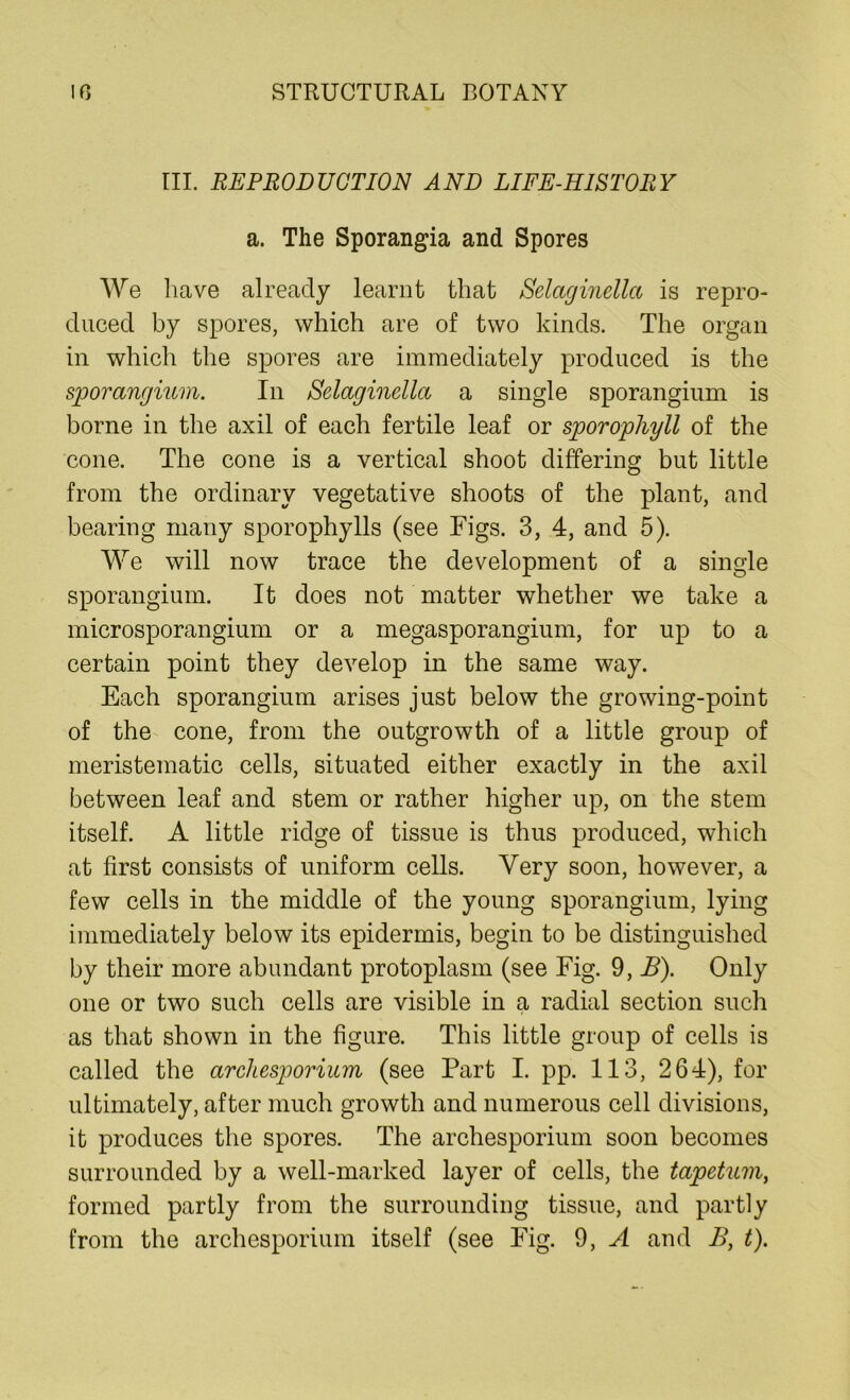 III. REPRODUCTION AND LIFE-HISTORY a. The Sporangia and Spores We have already learnt that Selaginella is repro- duced by spores, which are of two kinds. The organ in which the spores are immediately produced is the sporangium. In Selaginella a single sporangium is borne in the axil of each fertile leaf or sporophyll of the cone. The cone is a vertical shoot differing but little from the ordinary vegetative shoots of the plant, and bearing many sporophylls (see Figs. 3, 4, and 5). We will now trace the development of a single sporangium. It does not matter whether we take a microsporangium or a megasporangium, for up to a certain point they develop in the same way. Each sporangium arises just below the growing-point of the cone, from the outgrowth of a little group of meristematic cells, situated either exactly in the axil between leaf and stem or rather higher up, on the stem itself. A little ridge of tissue is thus produced, which at first consists of uniform cells. Very soon, however, a few cells in the middle of the young sporangium, lying immediately below its epidermis, begin to be distinguished by their more abundant protoplasm (see Fig. 9, B). Only one or two such cells are visible in a radial section such as that shown in the figure. This little group of cells is called the archesporium (see Part I. pp. 113, 264), for ultimately, after much growth and numerous cell divisions, it produces the spores. The archesporium soon becomes surrounded by a well-marked layer of cells, the tapetum, formed partly from the surrounding tissue, and partly from the archesporium itself (see Fig. 9, A and B, t).