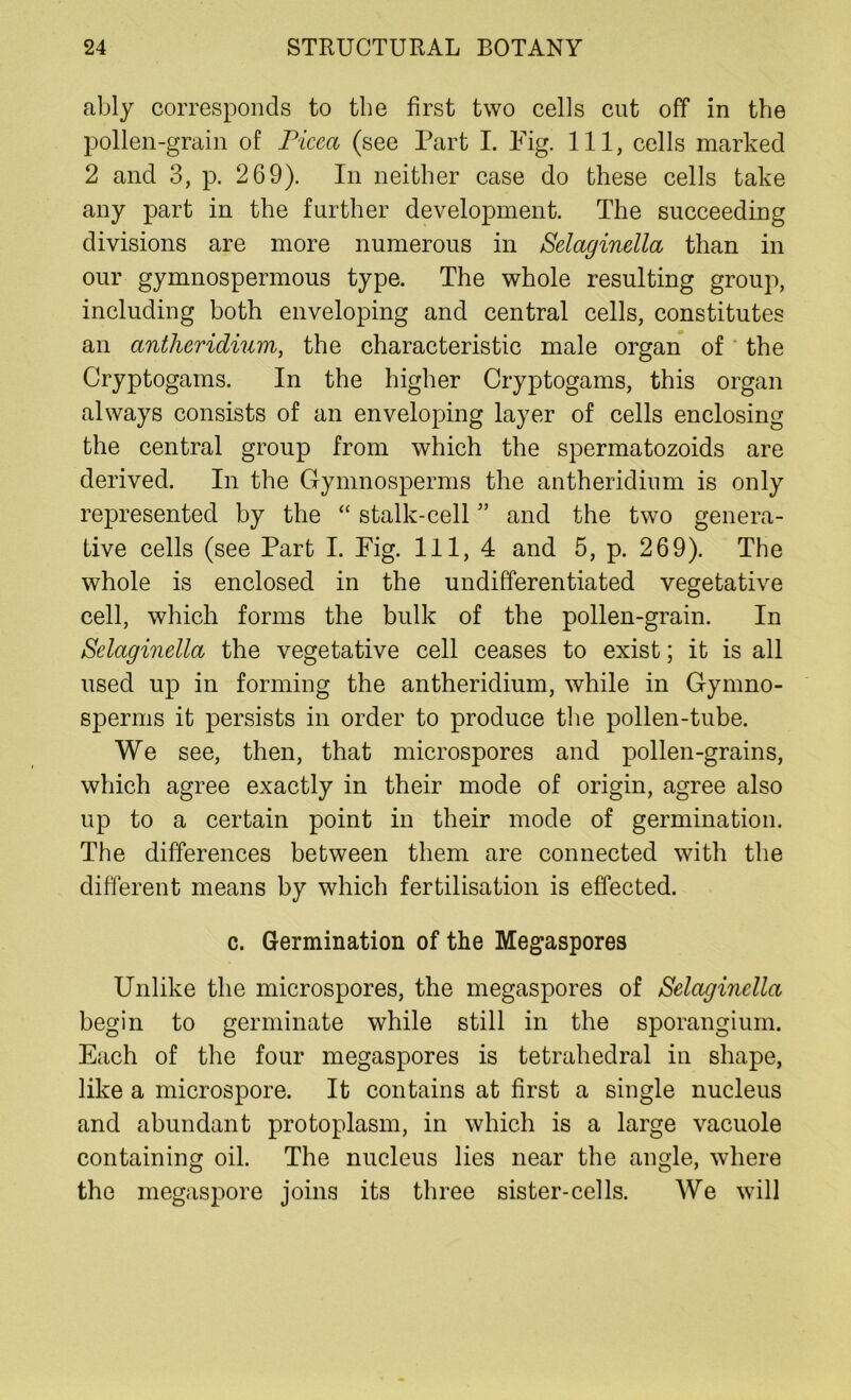 ably corresponds to the first two cells cut off in the pollen-grain of Picca (see Part I. Fig. Ill, cells marked 2 and 3, p. 269). In neither case do these cells take any part in the further development. The succeeding divisions are more numerous in Sclaginella than in our gymnospermous type. The whole resulting group, including both enveloping and central cells, constitutes an antheridium, the characteristic male organ of the Cryptogams. In the higher Cryptogams, this organ always consists of an enveloping layer of cells enclosing the central group from which the spermatozoids are derived. In the Gymnosperms the antheridium is only represented by the “ stalk-cell ” and the two genera- tive cells (see Part I. Fig. Ill, 4 and 5, p. 269). The whole is enclosed in the undifferentiated vegetative cell, which forms the bulk of the pollen-grain. In S'claginella the vegetative cell ceases to exist; it is all used up in forming the antheridium, while in Gymno- sperms it persists in order to produce the pollen-tube. We see, then, that microspores and pollen-grains, which agree exactly in their mode of origin, agree also up to a certain point in their mode of germination. The differences between them are connected with the different means by which fertilisation is effected. c. Germination of the Megaspores Unlike the microspores, the megaspores of Selaginella begin to germinate while still in the sporangium. Each of the four megaspores is tetrahedral in shape, like a microspore. It contains at first a single nucleus and abundant protoplasm, in which is a large vacuole containing oil. The nucleus lies near the angle, where the megaspore joins its three sister-cells. We will