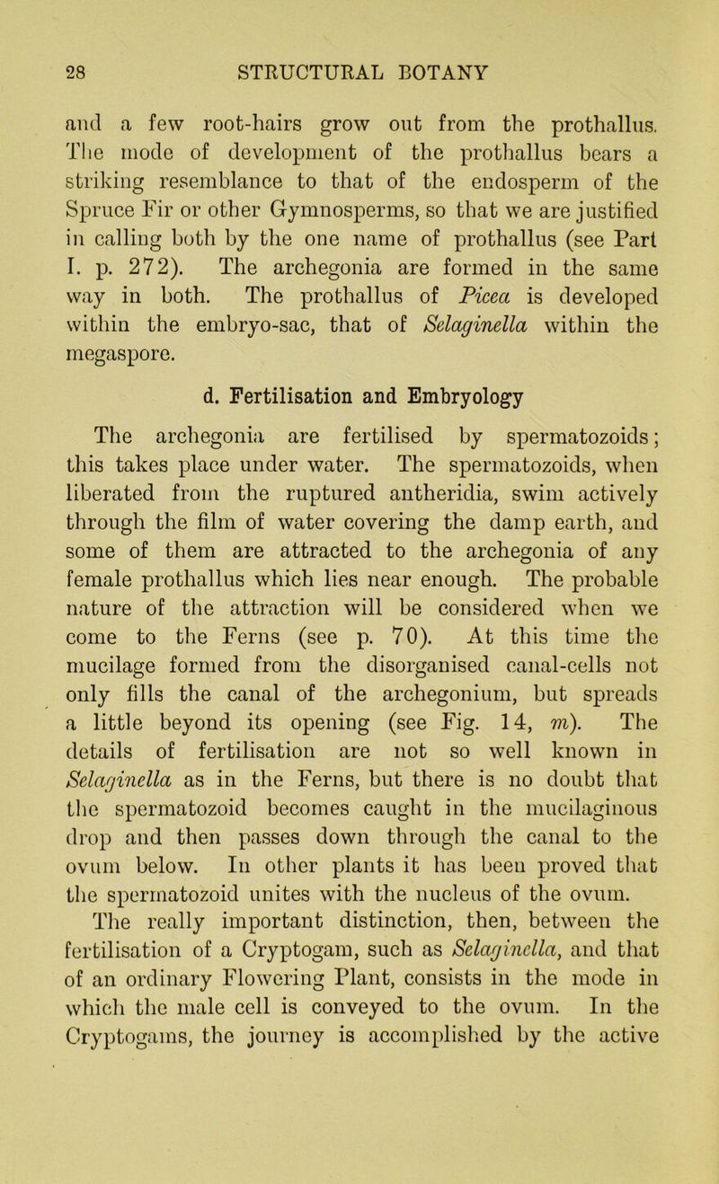 and a few root-hairs grow out from the prothallus, The mode of development of the prothallus bears a striking resemblance to that of the endosperm of the Spruce Fir or other Gymnosperms, so that we are justified in calling both by the one name of prothallus (see Part I. p. 272). The archegonia are formed in the same way in both. The prothallus of Picea is developed within the embryo-sac, that of &■elaginella within the megaspore. d. Fertilisation and Embryology The archegonia are fertilised by spermatozoids; this takes place under water. The spermatozoids, when liberated from the ruptured antheridia, swim actively through the film of water covering the damp earth, and some of them are attracted to the archegonia of any female prothallus which lies near enough. The probable nature of the attraction will be considered when we come to the Ferns (see p. 70). At this time the mucilage formed from the disorganised canal-cells not only fills the canal of the archegonium, but spreads a little beyond its opening (see Fig. 14, m). The details of fertilisation are not so well known in Selcigindla as in the Ferns, but there is no doubt that the spermatozoid becomes caught in the mucilaginous drop and then passes down through the canal to the ovum below. In other plants it has been proved that the spermatozoid unites with the nucleus of the ovum. The really important distinction, then, between the fertilisation of a Cryptogam, such as Selaginclla, and that of an ordinary Flowering Plant, consists in the mode in which the male cell is conveyed to the ovum. In the Cryptogams, the journey is accomplished by the active