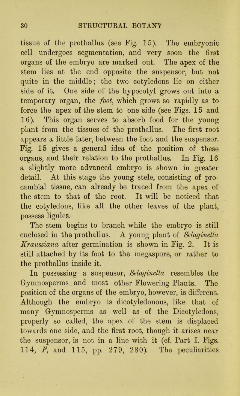 tissue of the prothallus (see Fig. 15). The embryonic cell undergoes segmentation, and very soon the first organs of the embryo are marked out. The apex of the stem lies at the end opposite the suspensor, but not quite in the middle; the two cotyledons lie on either side of it. One side of the hypocotyl grows out into a temporary organ, the foot, which grows so rapidly as to force the apex of the stem to one side (see Figs. 15 and 16). This organ serves to absorb food for the young plant from the tissues of the prothallus. The first root appears a little later, between the foot and the suspensor. Fig. 15 gives a general idea of the position of these organs, and their relation to the prothallus. In Fig. 16 a slightly more advanced embryo is shown in greater detail. At this stage the young stele, consisting of pro- cambial tissue, can already be traced from the apex of the stem to that of the root. It will be noticed that the cotyledons, like all the other leaves of the plant, possess ligules. The stem begins to branch while the embryo is still enclosed in the prothallus. A young plant of Selaginella Kraussiana after germination is shown in Fig. 2. It is still attached by its foot to the megaspore, or rather to the prothallus inside it. In possessing a suspensor, Selaginella resembles the Gymnosperms and most other Flowering Plants. The position of the organs of the embryo, however, is dilferent. Although the embryo is dicotyledonous, like that of many Gymnosperms as well as of the Dicotyledons, properly so called, the apex of the stem is displaced towards one side, and the first root, though it arises near the suspensor, is not in a line with it (cf. Part I. Figs. 114, F} and 115, pp. 279, 280). The peculiarities