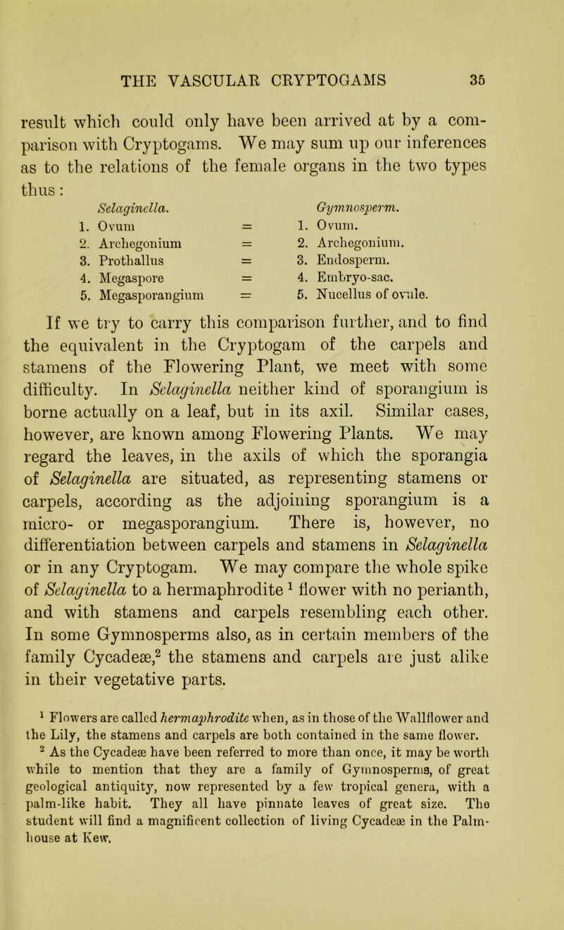 result which could only have been arrived at by a com- parison with Cryptogams. We may sum up our inferences as to the relations of the female organs in the two types thus: Selaginclla. 1. Ovum 2. Ai'diegonium 3. Prothallus 4. Megaspore 5. Megasporangium Gymnosperm. 1. Ovum. 2. Archegonium. 3. Endosperm. 4. Embryo-sac. 5. Nucellus of ovule. If we try to carry this comparison further, and to find the equivalent in the Cryptogam of the carpels and stamens of the Flowering Plant, we meet with some difficulty. In Selaginella neither kind of sporangium is borne actually on a leaf, but in its axil. Similar cases, however, are known among Flowering Plants. We may regard the leaves, in the axils of which the sporangia of Selaginella are situated, as representing stamens or carpels, according as the adjoining sporangium is a micro- or megasporangium. There is, however, no differentiation between carpels and stamens in Selaginella or in any Cryptogam. We may compare the whole spike of Selaginella to a hermaphrodite 1 flower with no perianth, and with stamens and carpels resembling each other. In some Gymnosperms also, as in certain members of the family Cycadese,2 the stamens and carpels are just alike in their vegetative parts. 1 Flowers are called hermaphrodite when, as in those of the Wallflower and the Lily, the stamens and carpels are both contained in the same flower. 2 As the Cycadese have been referred to more than once, it may be worth while to mention that they are a family of Gymnosperms, of great geological antiquity, now represented by a few tropical genera, with a palm-like habit. They all have pinnate leaves of great size. Tho student will find a magnificent collection of living Cycadeae in the Palm- house at Kew.