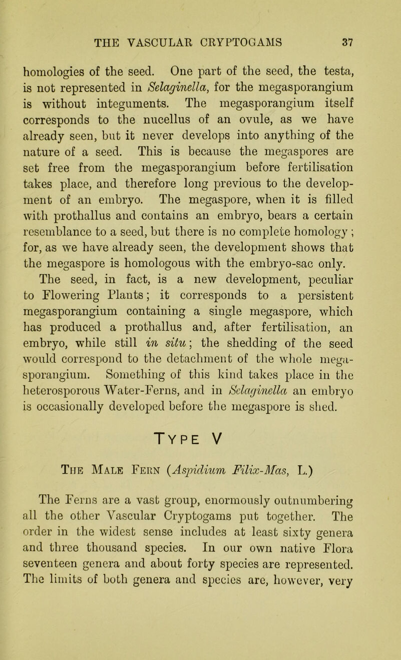 homologies of the seed. One part of the seed, the testa, is not represented in Selaginella, for the megasporangium is without integuments. The megasporangium itself corresponds to the nucellus of an ovule, as we have already seen, but it never develops into anything of the nature of a seed. This is because the megaspores are set free from the megasporangium before fertilisation takes place, and therefore long previous to the develop- ment of an embryo. The megaspore, when it is filled with prothallus and contains an embryo, bears a certain resemblance to a seed, but there is no complete homology ; for, as we have already seen, the development shows that the megaspore is homologous with the embryo-sac only. The seed, in fact, is a new development, peculiar to Flowering Plants; it corresponds to a persistent megasporangium containing a single megaspore, which has produced a prothallus and, after fertilisation, an embryo, while still in situ; the shedding of the seed would correspond to the detachment of the whole mega- sporangium. Something of this kind takes place in the heterosporous Water-Ferns, and in Selaginella an embryo is occasionally developed before the megaspore is shed. Type V The Male Fern (Aspidium Filix-Mas, L.) The Ferns are a vast group, enormously outnumbering all the other Vascular Cryptogams put together. The order in the widest sense includes at least sixty genera and three thousand species. In our own native Flora seventeen genera and about forty species are represented. The limits of both genera and species are, however, very