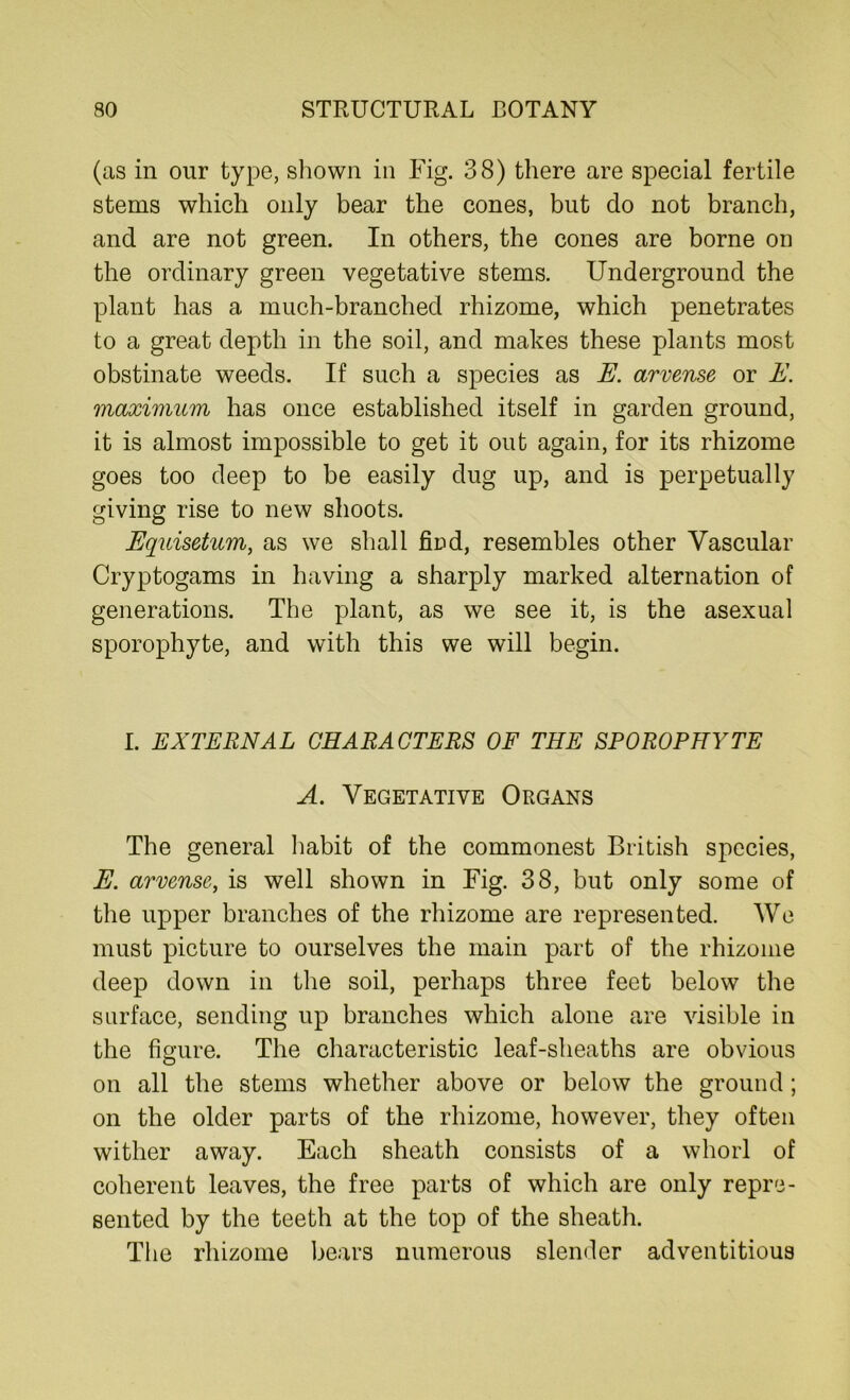 (as in our type, shown in Fig. 38) there are special fertile stems which only bear the cones, but do not branch, and are not green. In others, the cones are borne on the ordinary green vegetative stems. Underground the plant has a much-branched rhizome, which penetrates to a great depth in the soil, and makes these plants most obstinate weeds. If such a species as E. arvense or E. maximum has once established itself in garden ground, it is almost impossible to get it out again, for its rhizome goes too deep to be easily dug up, and is perpetually giving rise to new shoots. Equisetum, as we shall find, resembles other Vascular Cryptogams in having a sharply marked alternation of generations. The plant, as we see it, is the asexual sporophyte, and with this we will begin. I. EXTERNAL CHARACTERS OF THE SPOROPHYTE A. Vegetative Organs The general habit of the commonest British species, E. arvense, is well shown in Fig. 38, but only some of the upper branches of the rhizome are represented. We must picture to ourselves the main part of the rhizome deep down in the soil, perhaps three feet below the surface, sending up branches which alone are visible in the figure. The characteristic leaf-sheaths are obvious on all the stems whether above or below the ground; on the older parts of the rhizome, however, they often wither away. Each sheath consists of a whorl of coherent leaves, the free parts of which are only repre- sented by the teeth at the top of the sheath. The rhizome bears numerous slender adventitious