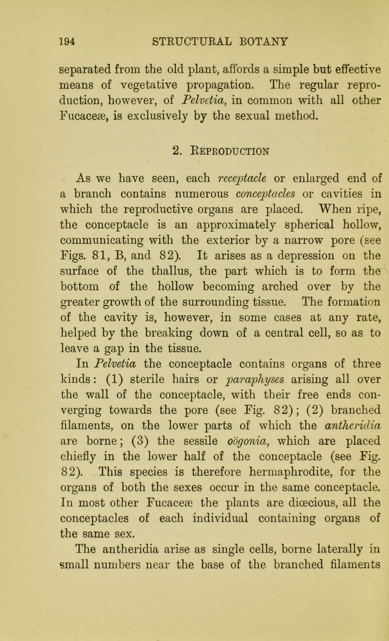 separated from the old plant, affords a simple but effective means of vegetative propagation. The regular repro- duction, however, of Pelvetia, in common with all other Fucacese, is exclusively by the sexual method. 2. Reproduction As we have seen, each receptacle or enlarged end of a branch contains numerous conceptacles or cavities in which the reproductive organs are placed. When ripe, the conceptacle is an approximately spherical hollow, communicating with the exterior by a narrow pore (see Figs. 81, B, and 82). It arises as a depression on the surface of the thallus, the part which is to form the bottom of the hollow becoming arched over by the greater growth of the surrounding tissue. The formation of the cavity is, however, in some cases at any rate, helped by the breaking down of a central cell, so as to leave a gap in the tissue. In Pelvetia the conceptacle contains organs of three kinds: (1) sterile hairs or paraphyses arising all over the wall of the conceptacle, with their free ends con- verging towards the pore (see Fig. 82); (2) branched filaments, on the lower parts of which the anthericlia are borne; (3) the sessile oogonia, which are placed chiefly in the lower half of the conceptacle (see Fig. 82). This species is therefore hermaphrodite, for the organs of both the sexes occur in the same conceptacle. In most other Fucacere the plants are dioecious, all the conceptacles of each individual containing organs of the same sex. The antheridia arise as single cells, borne laterally in small numbers near the base of the branched filaments