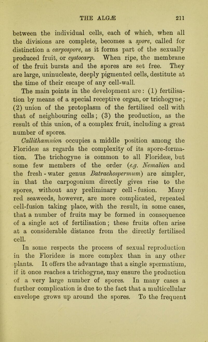 between the individual cells, each of which, when all the divisions are complete, becomes a spore, called for distinction a carpospore, as it forms part of the sexually produced fruit, or cystocarp. When ripe, the membrane of the fruit bursts and the spores are set free. They are large, uninucleate, deeply pigmented cells, destitute at the time of their escape of any cell-wall. The main points in the development are: (1) fertilisa- tion by means of a special receptive organ, or trichogyne ; (2) union of the protoplasm of the fertilised cell with that of neighbouring cells; (3) the production, as the result of this union, of a complex fruit, including a great number of spores. Callithamnion occupies a middle position among the Floridese as regards the complexity of its spore-forma- tion. The trichogyne is common to all Floridese, but some few members of the order (e.g. Nemalion and the fresh - water genus Batrachospermum) are simpler, in that the carpogonium directly gives rise to the spores, without any preliminary cell - fusion. Many red seaweeds, however, are more complicated, repeated cell-fusion taking place, with the result, in some cases, that a number of fruits may be formed in consequence of a single act of fertilisation; these fruits often arise at a considerable distance from the directly fertilised cell. In some respects the process of sexual reproduction in the Floridese is more complex than in any other plants. It offers the advantage that a single spermatium, if it once reaches a trichogyne, may ensure the production of a very large number of spores. In many cases a further complication is due to the fact that a multicellular envelope grows up around the spores. To the frequent