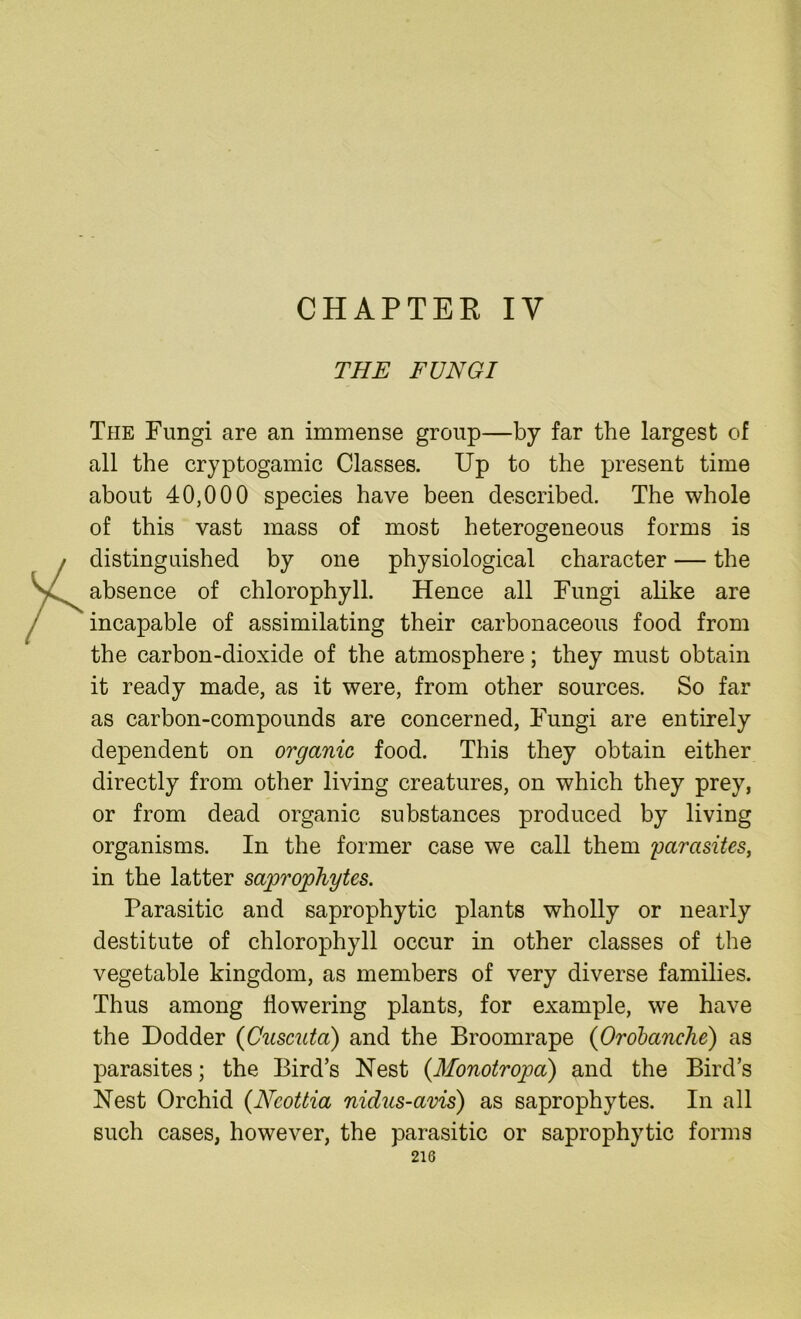 CHAPTER IV THE FUNGI The Fungi are an immense group—by far the largest of all the cryptogamic Classes. Up to the present time about 40,000 species have been described. The whole of this vast mass of most heterogeneous forms is distinguished by one physiological character — the absence of chlorophyll. Hence all Fungi alike are incapable of assimilating their carbonaceous food from the carbon-dioxide of the atmosphere; they must obtain it ready made, as it were, from other sources. So far as carbon-compounds are concerned, Fungi are entirely dependent on organic food. This they obtain either directly from other living creatures, on which they prey, or from dead organic substances produced by living organisms. In the former case we call them parasites, in the latter saprophytes. Parasitic and saprophytic plants wholly or nearly destitute of chlorophyll occur in other classes of the vegetable kingdom, as members of very diverse families. Thus among flowering plants, for example, we have the Dodder (Cuscuta) and the Broomrape (Orobanche) as parasites; the Bird’s Nest (Monotropa) and the Bird’s Nest Orchid (Ncottia nidus-avis) as saprophytes. In all such cases, however, the parasitic or saprophytic forms
