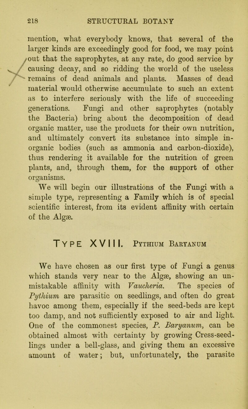 mention, what everybody knows, that several of the larger kinds are exceedingly good for food, we may point /out that the saprophytes, at any rate, do good service by causing decay, and so ridding the world of the useless ' remains of dead animals and plants. Masses of dead material would otherwise accumulate to such an extent as to interfere seriously with the life of succeeding generations. Fungi and other saprophytes (notably the Bacteria) bring about the decomposition of dead organic matter, use the products for their own nutrition, and ultimately convert its substance into simple in- organic bodies (such as ammonia and carbon-dioxide), thus rendering it available for the nutrition of green plants, and, through them, for the support of other organisms. We will begin our illustrations of the Fungi with a simple type, representing a Family which is of special scientific interest, from its evident affinity with certain of the Algae. Type XVIII. Pythium Baryanum We have chosen as our first type of Fungi a genus which stands very near to the Algae, showing an un- mistakable affinity with Vaucheria. The species of Pythium are parasitic on seedlings, and often do great havoc among them, especially if the seed-beds are kept too damp, and not sufficiently exposed to air and light. One of the commonest species, P. Baryanum, can be obtained almost with certainty by growing Cress-seed- lings under a bell-glass, and giving them an excessive amount of water; but, unfortunately, the parasite