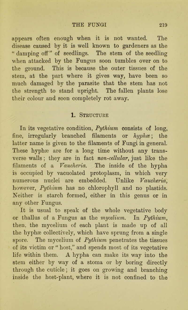appears often enough when it is not wanted. The disease caused by it is well known to gardeners as the “ damping off” of seedlings. The stem of the seedling when attacked by the Fungus soon tumbles over on to the ground. This is because the outer tissues of the stem, at the part where it gives way, have been so much damaged by the parasite that the stem has not the strength to stand upright. The fallen plants lose their colour and soon completely rot away. 1. Structure In its vegetative condition, Pythium consists of long, fine, irregularly branched filaments or hyphce; the latter name is given to the filaments of Fungi in general. These hyphae are for a long time without any trans- verse walls; they are in fact non-cellular, just like the filaments of a Vaucheria. The inside of the hypha is occupied by vacuolated protoplasm, in which very numerous nuclei are embedded. Unlike Vaucheria, however, Pythium has no chlorophyll and no plastids. Neither is starch formed, either in this genus or in any other Fungus. It is usual to speak of the whole vegetative body or thallus of a Fungus as the mycelium. In Pythium, then, the mycelium of each plant is made up of all the hyphse collectively, which have sprung from a single spore. The mycelium of Pythium penetrates the tissues of its victim or “ host,” and spends most of its vegetative life within them. A hypha can make its way into the stem either by way of a stoma or by boring directly through the cuticle; it goes on growing and branching inside the host-plant, where it is not confined to the