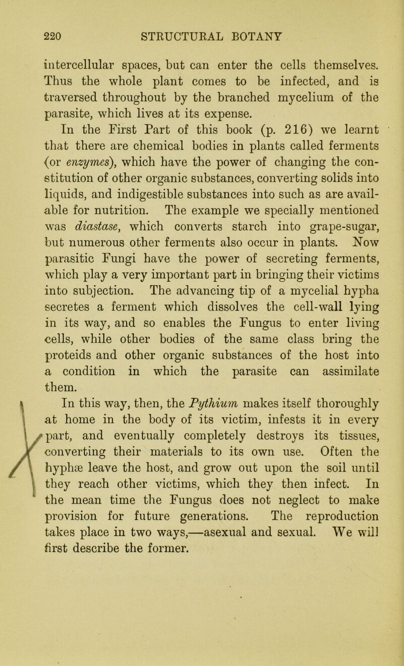 intercellular spaces, but can enter the cells themselves. Thus the whole plant comes to be infected, and is traversed throughout by the branched mycelium of the parasite, which lives at its expense. In the First Part of this book (p. 216) we learnt that there are chemical bodies in plants called ferments (or enzymes), which have the power of changing the con- stitution of other organic substances, converting solids into liquids, and indigestible substances into such as are avail- able for nutrition. The example we specially mentioned was diastase, which converts starch into grape-sugar, but numerous other ferments also occur in plants. Now parasitic Fungi have the power of secreting ferments, which play a very important part in bringing their victims into subjection. The advancing tip of a mycelial hypha secretes a ferment which dissolves the cell-wall lying in its way, and so enables the Fungus to enter living cells, while other bodies of the same class bring the proteids and other organic substances of the host into a condition in which the parasite can assimilate them. In this way, then, the Pythium makes itself thoroughly at home in the body of its victim, infests it in every part, and eventually completely destroys its tissues, converting their materials to its own use. Often the hyphse leave the host, and grow out upon the soil until they reach other victims, which they then infect. In the mean time the Fungus does not neglect to make provision for future generations. The reproduction takes place in two ways,—asexual and sexual. We will first describe the former.