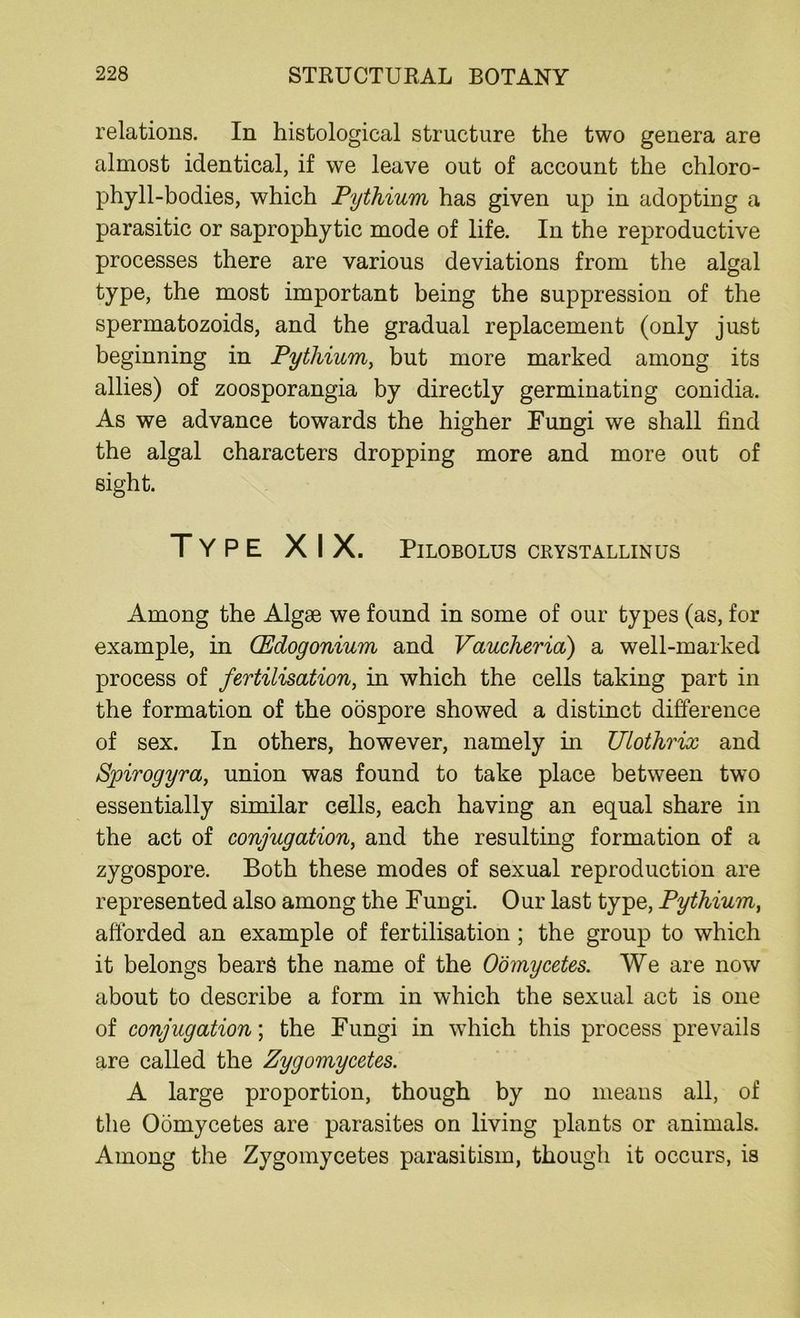 relations. In histological structure the two genera are almost identical, if we leave out of account the chloro- phyll-bodies, which Pythium has given up in adopting a parasitic or saprophytic mode of life. In the reproductive processes there are various deviations from the algal type, the most important being the suppression of the spermatozoids, and the gradual replacement (only just beginning in Pythium, but more marked among its allies) of zoosporangia by directly germinating conidia. As we advance towards the higher Fungi we shall find the algal characters dropping more and more out of sight. Type XIX. PlLOBOLUS CRYSTALLINUS Among the Algae we found in some of our types (as, for example, in (Edogonium and Vaucheria) a well-marked process of fertilisation, in which the cells taking part in the formation of the oospore showed a distinct difference of sex. In others, however, namely in Ulothrix and Spirogyra, union was found to take place between two essentially similar cells, each having an equal share in the act of conjugation, and the resulting formation of a zygospore. Both these modes of sexual reproduction are represented also among the Fungi. Our last type, Pythium, afforded an example of fertilisation; the group to which it belongs bears the name of the Oomycetes. We are now about to describe a form in which the sexual act is one of conjugation; the Fungi in which this process prevails are called the Zygomycetes. A large proportion, though by no means all, of the Oomycetes are parasites on living plants or animals. Among the Zygomycetes parasitism, though it occurs, is