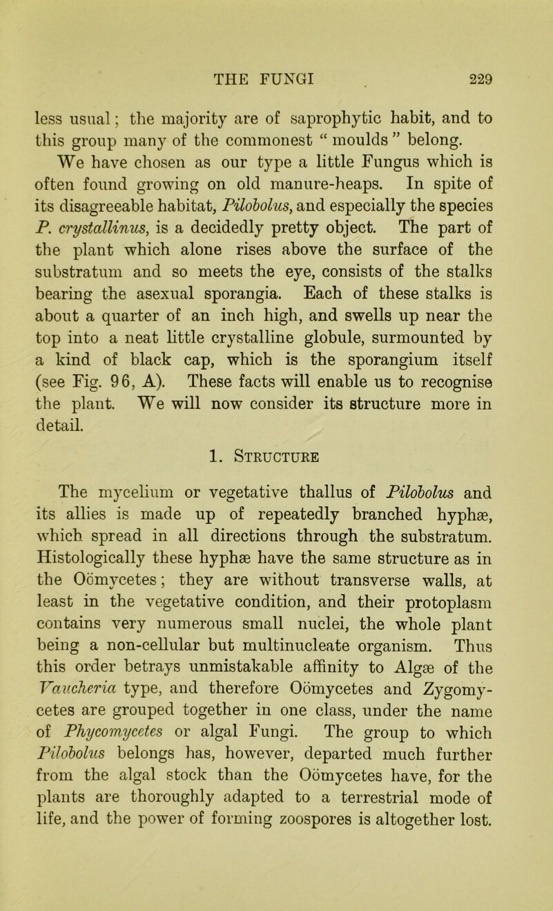 less usual; the majority are of saprophytic habit, and to this group many of the commonest “ moulds ” belong. We have chosen as our type a little Fungus which is often found growing on old manure-heaps. In spite of its disagreeable habitat, Pilobolus, and especially the species P. crystallinus, is a decidedly pretty object. The part of the plant which alone rises above the surface of the substratum and so meets the eye, consists of the stalks bearing the asexual sporangia. Each of these stalks is about a quarter of an inch high, and swells up near the top into a neat little crystalline globule, surmounted by a kind of black cap, which is the sporangium itself (see Fig. 96, A). These facts will enable us to recognise the plant. We will now consider its structure more in detail. 1. Structure The mycelium or vegetative thallus of Pilobolus and its allies is made up of repeatedly branched hyphae, which spread in all directions through the substratum. Histologically these hyphae have the same structure as in the Oomycetes; they are without transverse walls, at least in the vegetative condition, and their protoplasm contains very numerous small nuclei, the whole plant being a non-cellular but multinucleate organism. Thus this order betrays unmistakable affinity to Algae of the Vaucheria type, and therefore Oomycetes and Zygomy- cetes are grouped together in one class, under the name of Phycomycetes or algal Fungi. The group to which Pilobolus belongs has, however, departed much further from the algal stock than the Oomycetes have, for the plants are thoroughly adapted to a terrestrial mode of life, and the power of forming zoospores is altogether lost.