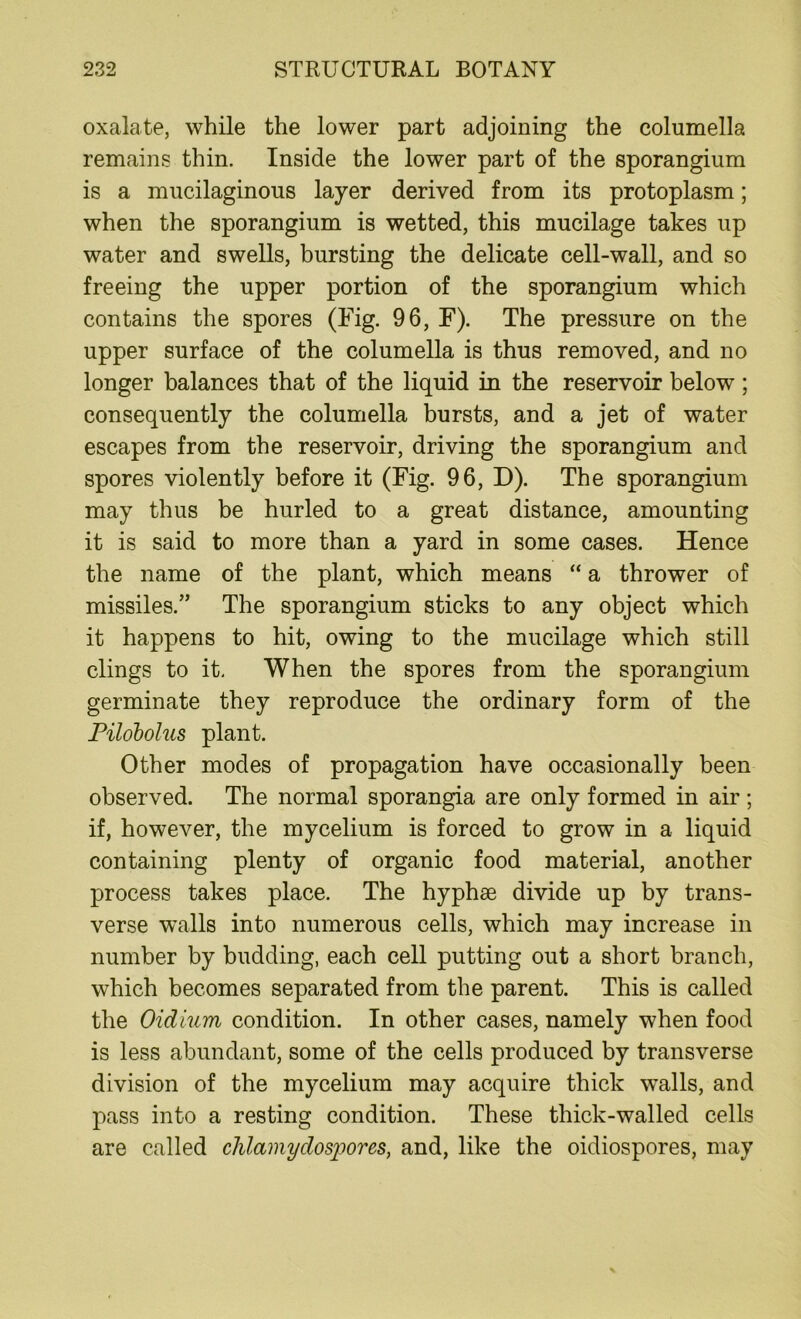 oxalate, while the lower part adjoining the columella remains thin. Inside the lower part of the sporangium is a mucilaginous layer derived from its protoplasm; when the sporangium is wetted, this mucilage takes up water and swells, bursting the delicate cell-wall, and so freeing the upper portion of the sporangium which contains the spores (Fig. 96, F). The pressure on the upper surface of the columella is thus removed, and no longer balances that of the liquid in the reservoir below ; consequently the columella bursts, and a jet of water escapes from the reservoir, driving the sporangium and spores violently before it (Fig. 96, D). The sporangium may thus be hurled to a great distance, amounting it is said to more than a yard in some cases. Hence the name of the plant, which means “ a thrower of missiles.” The sporangium sticks to any object which it happens to hit, owing to the mucilage which still clings to it. When the spores from the sporangium germinate they reproduce the ordinary form of the Pilobolus plant. Other modes of propagation have occasionally been observed. The normal sporangia are only formed in air; if, however, the mycelium is forced to grow in a liquid containing plenty of organic food material, another process takes place. The hyphse divide up by trans- verse walls into numerous cells, which may increase in number by budding, each cell putting out a short branch, which becomes separated from the parent. This is called the Oidlum condition. In other cases, namely when food is less abundant, some of the cells produced by transverse division of the mycelium may acquire thick walls, and pass into a resting condition. These thick-walled cells are called clilamyclosijores, and, like the oidiospores, may