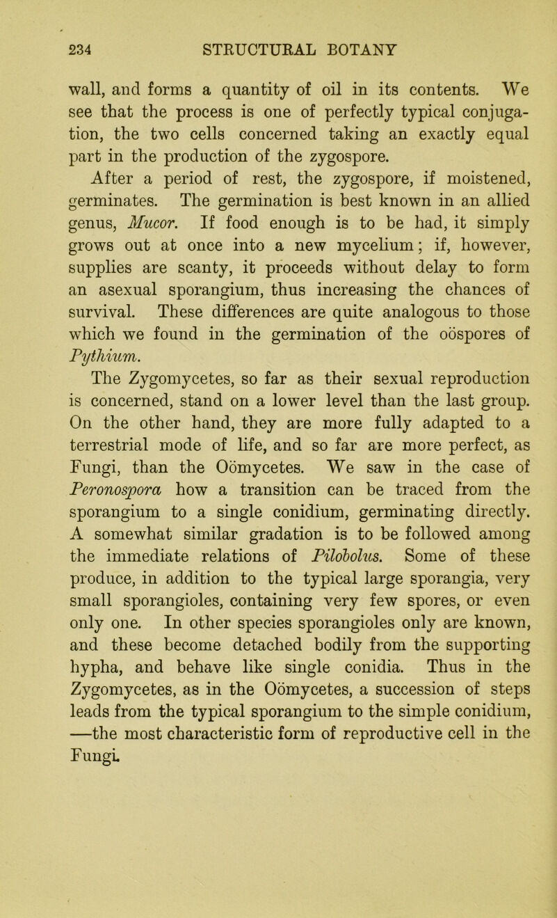 wall, and forms a quantity of oil in its contents. We see that the process is one of perfectly typical conjuga- tion, the two cells concerned taking an exactly equal part in the production of the zygospore. After a period of rest, the zygospore, if moistened, germinates. The germination is best known in an allied genus, Mucor. If food enough is to be had, it simply grows out at once into a new mycelium; if, however, supplies are scanty, it proceeds without delay to form an asexual sporangium, thus increasing the chances of survival. These differences are quite analogous to those which we found in the germination of the oospores of Pythium. The Zygomycetes, so far as their sexual reproduction is concerned, stand on a lower level than the last group. On the other hand, they are more fully adapted to a terrestrial mode of life, and so far are more perfect, as Fungi, than the Oomycetes. We saw in the case of Peronospora how a transition can be traced from the sporangium to a single conidium, germinating directly. A somewhat similar gradation is to be followed among the immediate relations of Pilobolus. Some of these produce, in addition to the typical large sporangia, very small sporangioles, containing very few spores, or even only one. In other species sporangioles only are known, and these become detached bodily from the supporting hypha, and behave like single conidia. Thus in the Zygomycetes, as in the Oomycetes, a succession of steps leads from the typical sporangium to the simple conidium, —the most characteristic form of reproductive cell in the Fungi
