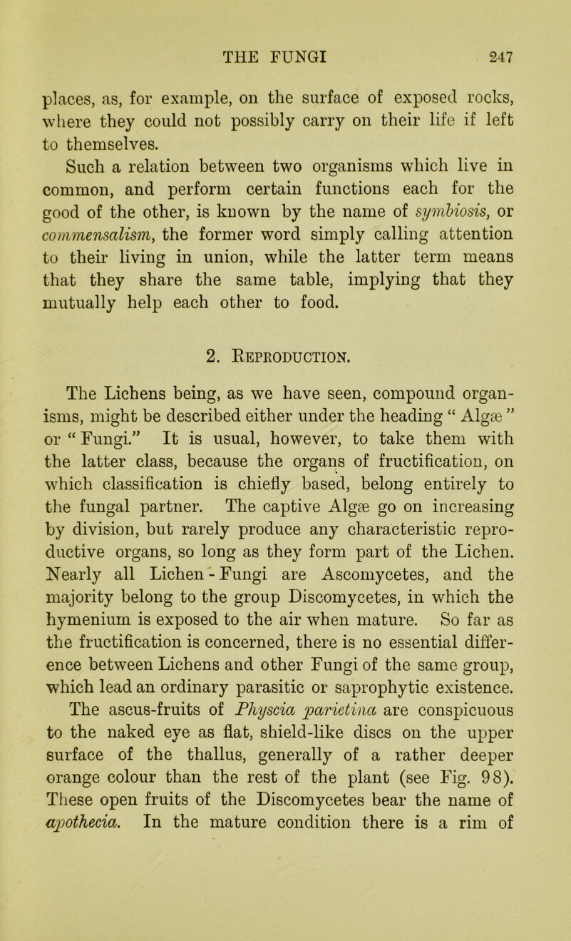 places, as, for example, on the surface of exposed rocks, where they could not possibly carry on their life if left to themselves. Such a relation between two organisms which live in common, and perform certain functions each for the good of the other, is known by the name of symbiosis, or commensalism, the former word simply calling attention to their living in union, while the latter term means that they share the same table, implying that they mutually help each other to food. 2. Reproduction. The Lichens being, as we have seen, compound organ- isms, might be described either under the heading “ Alg^e ” or “ Fungi.” It is usual, however, to take them with the latter class, because the organs of fructification, on which classification is chiefly based, belong entirely to the fungal partner. The captive Algae go on increasing by division, but rarely produce any characteristic repro- ductive organs, so long as they form part of the Lichen. Nearly all Lichen-Fungi are Ascomycetes, and the majority belong to the group Discomycetes, in which the hymenium is exposed to the air when mature. So far as the fructification is concerned, there is no essential differ- ence between Lichens and other Fungi of the same group, which lead an ordinary parasitic or saprophytic existence. The ascus-fruits of Pliyscia parietina are conspicuous to the naked eye as flat, shield-like discs on the upper surface of the thallus, generally of a rather deeper orange colour than the rest of the plant (see Fig. 98). These open fruits of the Discomycetes bear the name of apothecia. In the mature condition there is a rim of
