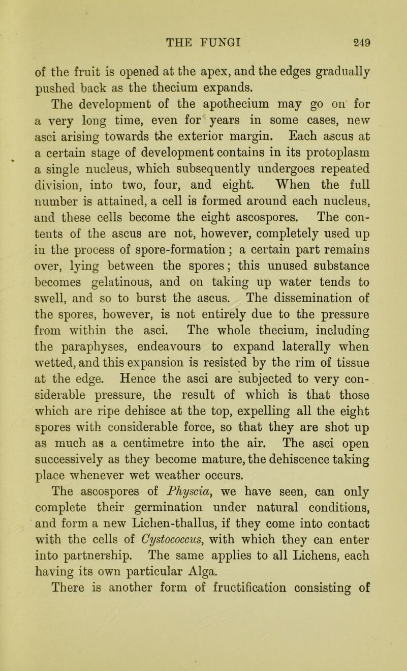 of the fruit is opened at the apex, and the edges gradually pushed back as the thecium expands. The development of the apothecium may go on for a very long time, even for years in some cases, new asci arising towards the exterior margin. Each ascus at a certain stage of development contains in its protoplasm a single nucleus, which subsequently undergoes repeated division, into two, four, and eight. When the full number is attained, a cell is formed around each nucleus, and these cells become the eight ascospores. The con- tents of the ascus are not, however, completely used up in the process of spore-formation; a certain part remains over, lying between the spores; this unused substance becomes gelatinous, and on taking up water tends to swell, and so to burst the ascus. The dissemination of the spores, however, is not entirely due to the pressure from within the asci. The whole thecium, including the paraphyses, endeavours to expand laterally when wetted, and this expansion is resisted by the rim of tissue at the edge. Hence the asci are subjected to very con- siderable pressure, the result of which is that those which are ripe dehisce at the top, expelling all the eight spores with considerable force, so that they are shot up as much as a centimetre into the air. The asci open successively as they become mature, the dehiscence taking place whenever wet weather occurs. The ascospores of Physcia, we have seen, can only complete their germination under natural conditions, and form a new Lichen-thallus, if they come into contact with the cells of Cystococcus, with which they can enter into partnership. The same applies to all Lichens, each having its own particular Alga. There is another form of fructification consisting of