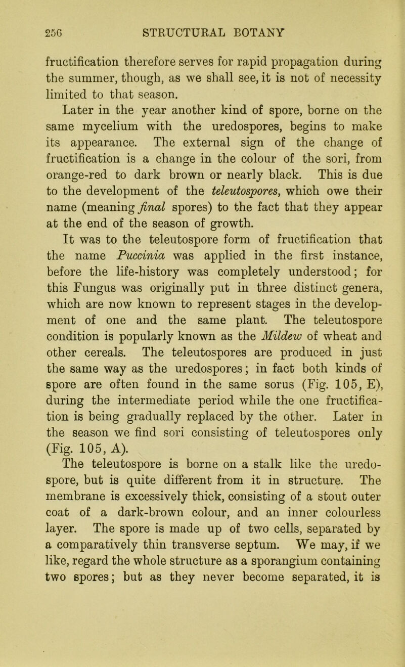 fructification therefore serves for rapid propagation during the summer, though, as we shall see, it is not of necessity limited to that season. Later in the year another kind of spore, borne on the same mycelium with the uredospores, begins to make its appearance. The external sign of the change of fructification is a change in the colour of the sori, from orange-red to dark brown or nearly black. This is due to the development of the teleutospores, which owe their name (meaning final spores) to the fact that they appear at the end of the season of growth. It was to the teleutospore form of fructification that the name Puccinia was applied in the first instance, before the life-history was completely understood; for this Fungus was originally put in three distinct genera, which are now known to represent stages in the develop- ment of one and the same plant. The teleutospore condition is popularly known as the Mildew of wheat and other cereals. The teleutospores are produced in just the same way as the uredospores; in fact both kinds of spore are often found in the same sorus (Fig. 105, E), during the intermediate period while the one fructifica- tion is being gradually replaced by the other. Later in the season we find sori consisting of teleutospores only (Fig. 105, A). The teleutospore is borne on a stalk like the uredo- spore, but is quite different from it in structure. The membrane is excessively thick, consisting of a stout outer coat of a dark-brown colour, and an inner colourless layer. The spore is made up of two cells, separated by a comparatively thin transverse septum. We may, if we like, regard the whole structure as a sporangium containing two spores; but as they never become separated, it is