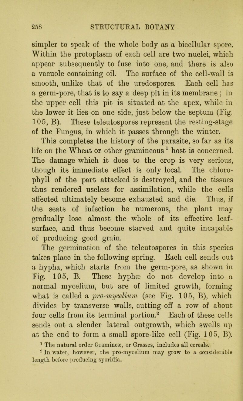simpler to speak of the whole body as a bicellular spore. Within the protoplasm of each cell are two nuclei, which appear subsequently to fuse into one, and there is also a vacuole containing oil. The surface of the cell-wall is smooth, unlike that of the uredospores. Each cell has a germ-pore, that is to say a deep pit in its membrane ; in the upper cell this pit is situated at the apex, while in the lower it lies on one side, just below the septum (Fig. 105, B). These teleutospores represent the resting-stage of the Fungus, in which it passes through the winter. This completes the history of the parasite, so far as its life on the Wheat or other gramineous 1 host is concerned. The damage which it does to the crop is very serious, though its immediate effect is only local. The chloro- phyll of the part attacked is destroyed, and the tissues thus rendered useless for assimilation, while the cells affected ultimately become exhausted and die. Thus, if the seats of infection be numerous, the plant may gradually lose almost the whole of its effective leaf- surface, and thus become starved and quite incapable of producing good grain. The germination of the teleutospores in this species takes place in the following spring. Each cell sends out a hypha, which starts from the germ-pore, as shown in Fig. 105, B. These hyph?e do not develop into a normal mycelium, but are of limited growth, forming what is called a pro-mycelium (see Fig. 105, B), which divides by transverse walls, cutting off a row of about four cells from its terminal portion.2 Each of these cells sends out a slender lateral outgrowth, which swells up at the end to form a small spore-like cell (Fig. 105, B). 1 The natural order Graminete, or Grasses, includes all cereals. 2 In water, however, the pro-mycelium may grow to a considerable length before producing sporidia.