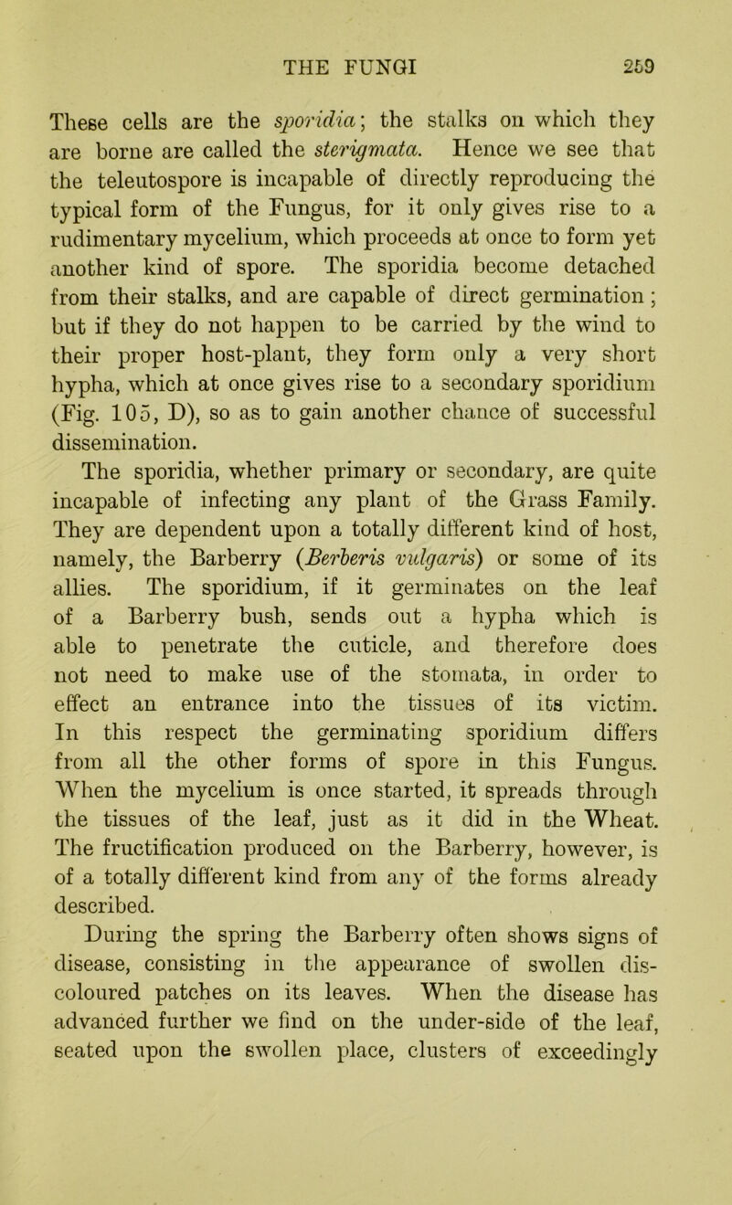 These cells are the sporidia; the stalks on which they are borne are called the sterigmata. Hence we see that the teleutospore is incapable of directly reproducing the typical form of the Fungus, for it only gives rise to a rudimentary mycelium, which proceeds at once to form yet another kind of spore. The sporidia become detached from their stalks, and are capable of direct germination; but if they do not happen to be carried by the wind to their proper host-plant, they form only a very short hypha, which at once gives rise to a secondary sporidium (Fig. 105, D), so as to gain another chance of successful dissemination. The sporidia, whether primary or secondary, are quite incapable of infecting any plant of the Grass Family. They are dependent upon a totally different kind of host, namely, the Barberry (Berberis vulgaris) or some of its allies. The sporidium, if it germinates on the leaf of a Barberry bush, sends out a hypha which is able to penetrate the cuticle, and therefore does not need to make use of the stomata, in order to effect an entrance into the tissues of its victim. In this respect the germinating sporidium differs from all the other forms of spore in this Fungus. When the mycelium is once started, it spreads through the tissues of the leaf, just as it did in the Wheat. The fructification produced on the Barberry, however, is of a totally different kind from any of the forms already described. During the spring the Barberry often shows signs of disease, consisting in the appearance of swollen dis- coloured patches on its leaves. When the disease has advanced further we find on the under-side of the leaf, seated upon the swollen place, clusters of exceedingly