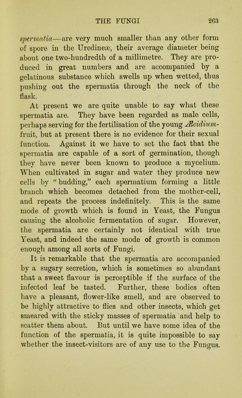 spermatici—are very much smaller than any other form of spore in the Uredinese, their average diameter being about one two-hundredth of a millimetre. They are pro- duced in great numbers and are accompanied by a gelatinous substance which swells up when wetted, thus pushing out the spermatia through the neck of the flask. At present we are quite unable to say what these spermatia are. They have been regarded as male cells, perhaps serving for the fertilisation of the young JRcidium- fruit, but at present there is no evidence for their sexual function. Against it we have to set the fact that the spermatia are capable of a sort of germination, though they have never been known to produce a mycelium. When cultivated in sugar and water they produce new cells by “ budding,” each spermatium forming a little branch which becomes detached from the mother-cell, and repeats the process indefinitely. This is the same mode of growth which is found in Yeast, the Fungus causing the alcoholic fermentation of sugar. However, the spermatia are certainly not identical with true Yeast, and indeed the same mode of growth is common enough among all sorts of Fungi. It is remarkable that the spermatia are accompanied by a sugary secretion, which is sometimes so abundant that a sweet flavour is perceptible if the surface of the infected leaf be tasted. Further, these bodies often have a pleasant, flower-like smell, and are observed to be highly attractive to flies and other insects, which get smeared with the sticky masses of spermatia and help to scatter them about. But until we have some idea of the function of the spermatia, it is quite impossible to say whether the insect-visitors are of any use to the Fungus.