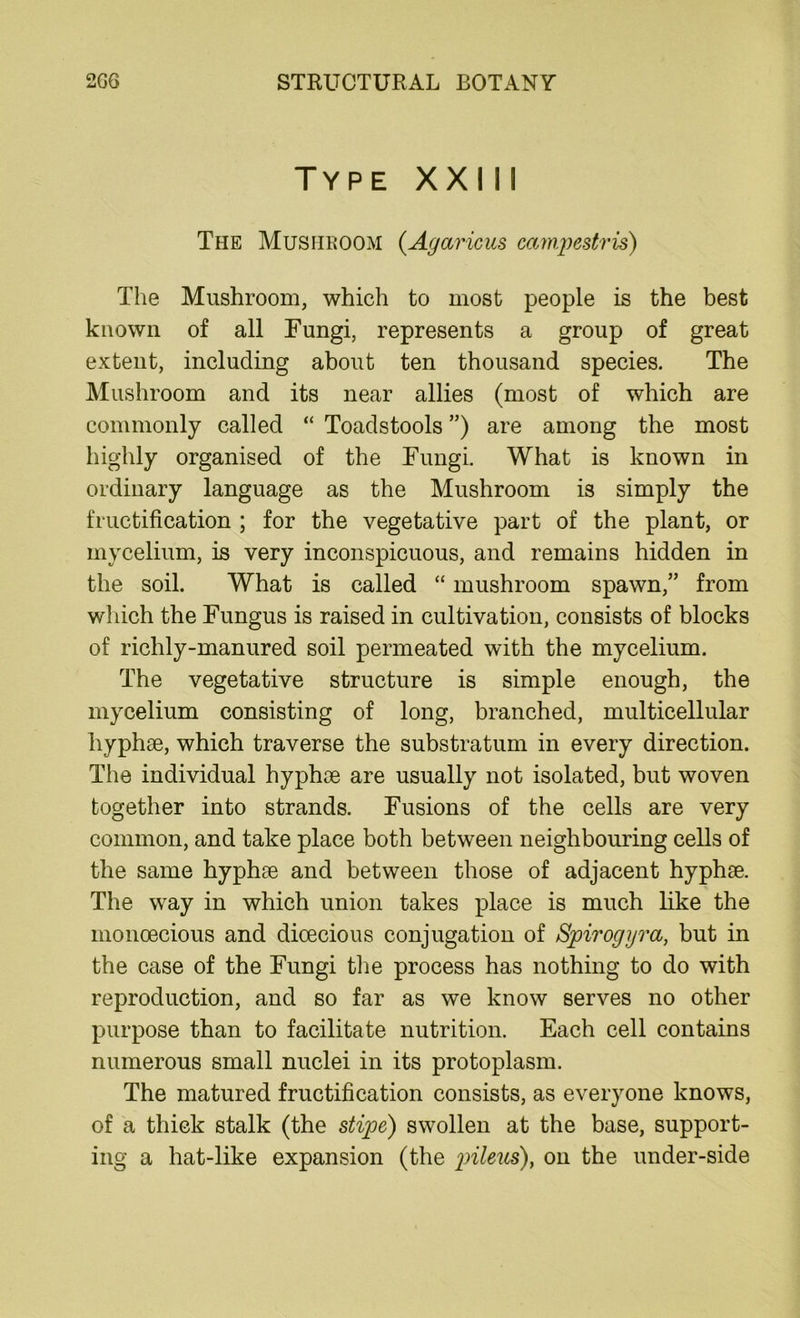 Type XXIil The Mushroom (Agaricus campestris) The Mushroom, which to most people is the best known of all Fungi, represents a group of great extent, including about ten thousand species. The Mushroom and its near allies (most of which are commonly called “ Toadstools ”) are among the most highly organised of the Fungi. What is known in ordinary language as the Mushroom is simply the fructification ; for the vegetative part of the plant, or mycelium, is very inconspicuous, and remains hidden in the soil. What is called “ mushroom spawn,” from which the Fungus is raised in cultivation, consists of blocks of richly-manured soil permeated with the mycelium. The vegetative structure is simple enough, the mycelium consisting of long, branched, multicellular hyphse, which traverse the substratum in every direction. The individual hyphoe are usually not isolated, but woven together into strands. Fusions of the cells are very common, and take place both between neighbouring cells of the same hyphse and between those of adjacent hyphae. The way in which union takes place is much like the monoecious and dioecious conjugation of Spirogyra, but in the case of the Fungi the process has nothing to do with reproduction, and so far as we know serves no other purpose than to facilitate nutrition. Each cell contains numerous small nuclei in its protoplasm. The matured fructification consists, as everyone knows, of a thick stalk (the stipe) swollen at the base, support- ing a hat-like expansion (the pi',leus)} on the under-side