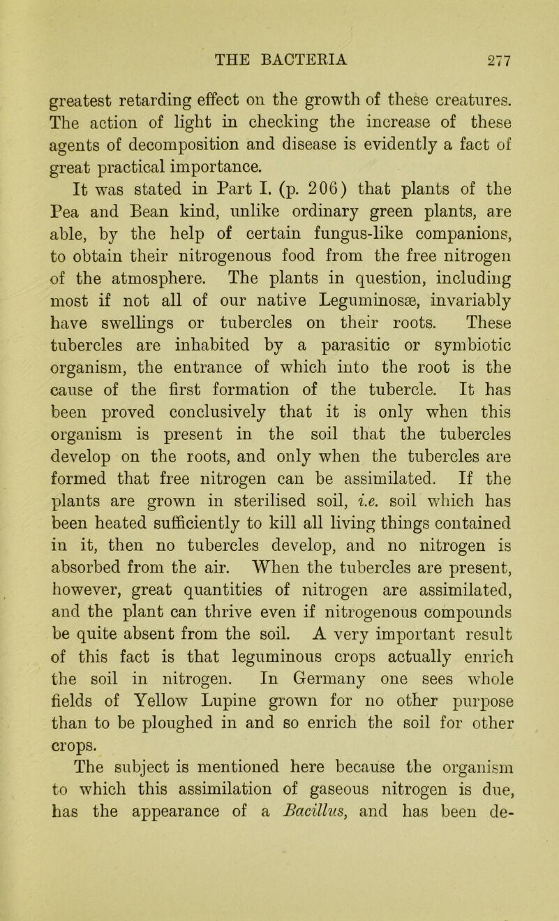 greatest retarding effect on the growth of these creatures. The action of light in checking the increase of these agents of decomposition and disease is evidently a fact of great practical importance. It was stated in Part I. (p. 206) that plants of the Pea and Bean kind, unlike ordinary green plants, are able, by the help of certain fungus-like companions, to obtain their nitrogenous food from the free nitrogen of the atmosphere. The plants in question, including most if not all of our native Leguminosae, invariably have swellings or tubercles on their roots. These tubercles are inhabited by a parasitic or symbiotic organism, the entrance of which into the root is the cause of the first formation of the tubercle. It has been proved conclusively that it is only when this organism is present in the soil that the tubercles develop on the roots, and only when the tubercles are formed that free nitrogen can be assimilated. If the plants are grown in sterilised soil, i.e. soil which has been heated sufficiently to kill all living things contained in it, then no tubercles develop, and no nitrogen is absorbed from the air. When the tubercles are present, however, great quantities of nitrogen are assimilated, and the plant can thrive even if nitrogenous compounds be quite absent from the soil. A very important result of this fact is that leguminous crops actually enrich the soil in nitrogen. In Germany one sees whole fields of Yellow Lupine grown for no other purpose than to be ploughed in and so enrich the soil for other crops. The subject is mentioned here because the organism to which this assimilation of gaseous nitrogen is due, has the appearance of a Bacillus, and has been de-