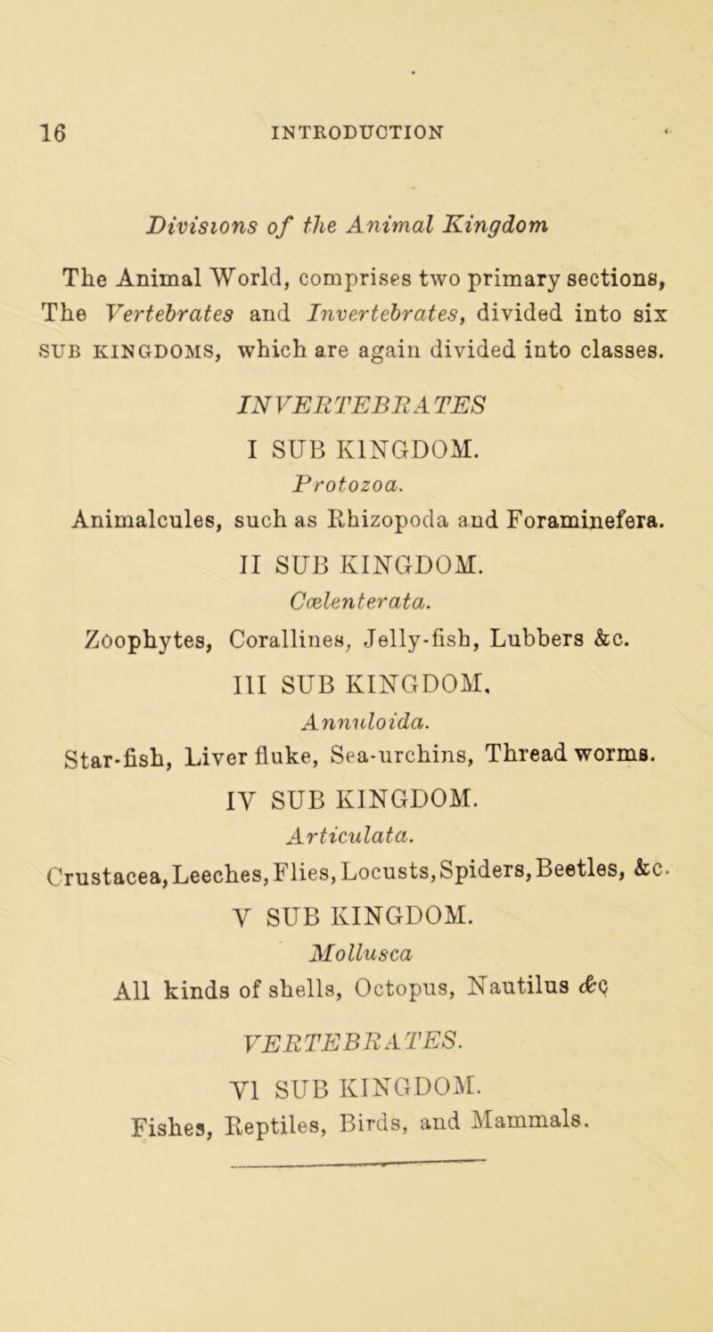 Divisions of the Animal Kingdom The Animal World, comprises two primary sections, The Vertebrates and Invertebrates, divided into six SUB kingdoms, which are again divided into classes. INVER TERRA TES I SUB KINGDOM. Protozoa. Animalcules, such as Ehizopoda and Foraminefera. II SUB KINGDOM. Ccelenterata. Zoophytes, Corallines, Jelly-fish, Lubbers &c. III SUB KINGDOM, Annuloida. Star-fish, Liver fluke, Sea-urchins, Threadworms. IV SUB KINGDOM. Articulata. Crustacea, Leeches, 1 lies, Locusts, Spiders, Beetles, &c. Y SUB KINGDOM. Mollusca All kinds of shells, Octopus, Nautilus c£c VERTEBRATES. VI SUB KINGDOM. Fishes, Reptiles, Birds, and Mammals.