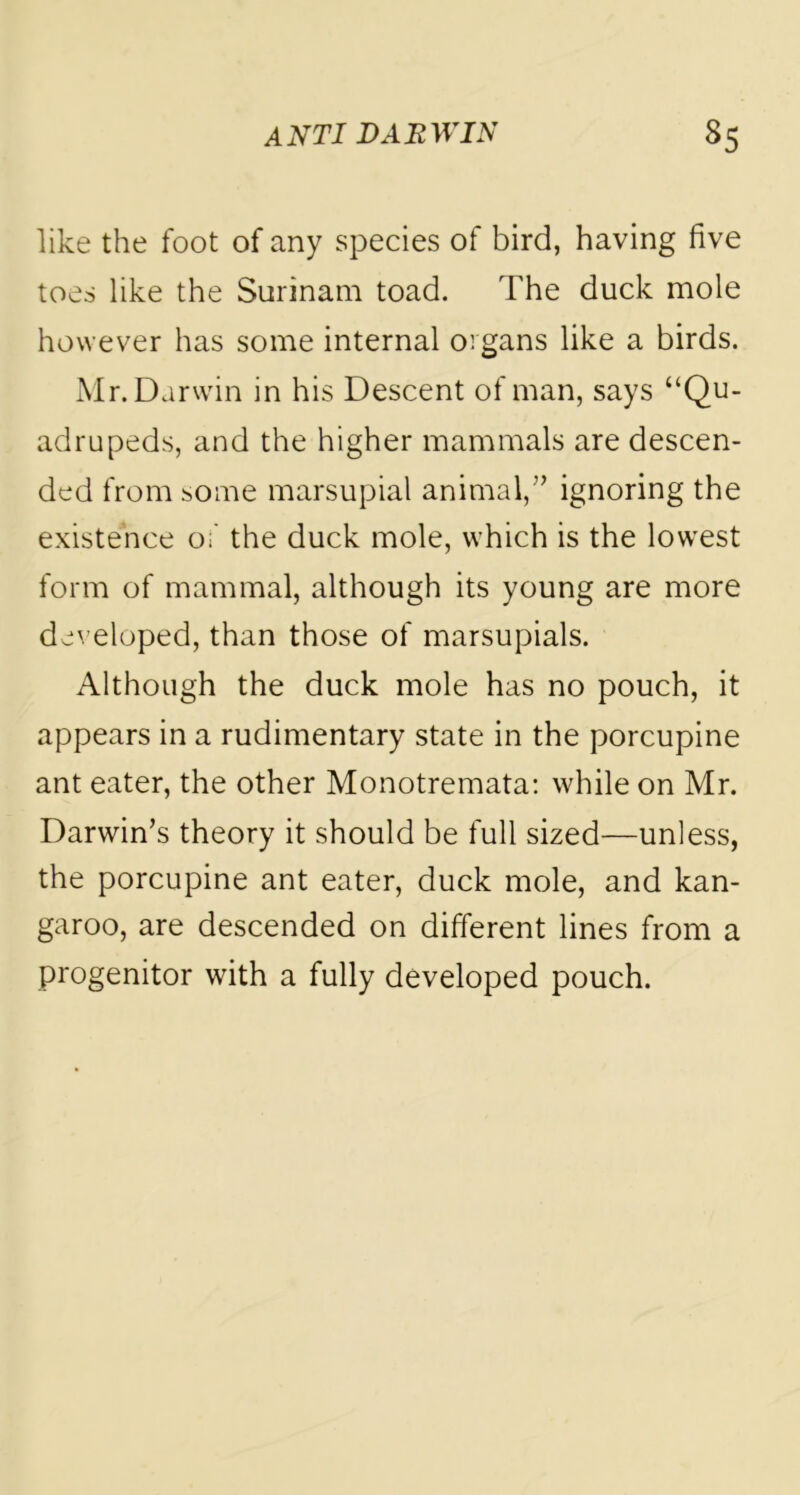 like the foot of any species of bird, having five toes like the Surinam toad. The duck mole however has some internal organs like a birds. Mr. Darwin in his Descent of man, says “Qu- adrupeds, and the higher mammals are descen- ded from some marsupial animal,” ignoring the existence of the duck mole, which is the lowest form of mammal, although its young are more developed, than those of marsupials. Although the duck mole has no pouch, it appears in a rudimentary state in the porcupine ant eater, the other Monotremata: while on Mr. Darwin’s theory it should be full sized—unless, the porcupine ant eater, duck mole, and kan- garoo, are descended on different lines from a progenitor with a fully developed pouch.