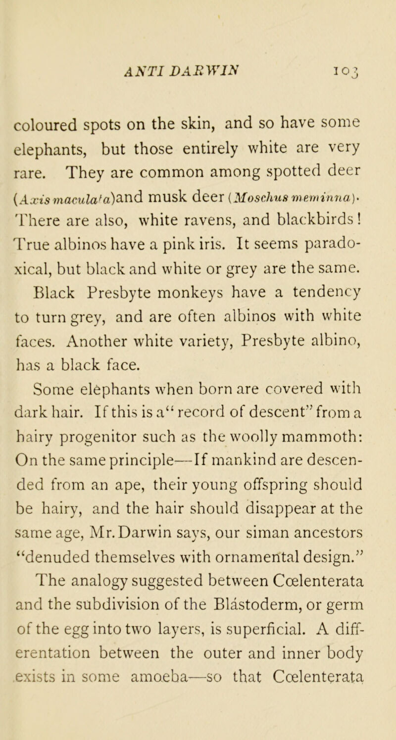 coloured spots on the skin, and so have some elephants, but those entirely white are very rare. They are common among spotted deer {Axis maculafa)2ind musk deer (Moschus mem inn a) . There are also, white ravens, and blackbirds! True albinos have a pink iris. It seems parado- xical, but black and white or grey are the same. Black Presbyte monkeys have a tendency to turn grey, and are often albinos with white faces. Another white variety, Presbyte albino, has a black face. Some elephants when born are covered with dark hair. If this is a“ record of descent” from a hairy progenitor such as the woolly mammoth: On the same principle—If mankind are descen- ded from an ape, their young offspring should be hairy, and the hair should disappear at the same age, Mr. Darwin says, our siman ancestors “denuded themselves with ornamental design.” The analogy suggested between Ccelenterata and the subdivision of the Blastoderm, or germ of the egg into two layers, is superficial. A diff- erentation between the outer and inner body exists in some amoeba-—so that Coelenterata