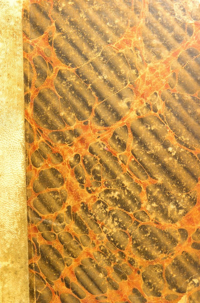 No text description is available for this image