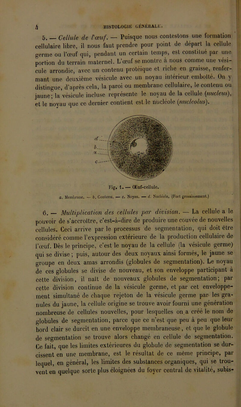 !x lllSTOLOGlt: GliNEUALb;. 5. — Cellule de Pceuf. — Puisque nous conlestons uiie formation ‘ cellulaire libre, il nous faut prendre pour point de depart la cellule germe ou l’oeuf qui, pendant un certain teiups, esl constilue par une portion du lerrain malernel. L’oeuf se monlre a nous comme une vesi- cule arrondie, avec un conteiiu proteique et liclie en graisse, renler- mant une deuxieme vesicule avec un noyau inlerieur emboile. On y distingue, d’apres cela, la paroi ou membrane cellulaire, leconlenu ou jaune; la vesicule incluse represente le noyau de la cellule {nucleus), et le noyau que ce dernier contient est le nucleole {nucleolus). Fig. 1. — (Euf-cellule. a, Membrane. — b, Contenu. — c. Noyau. — d. Nucleole. (Fort grossissement.) 6. _ Multiplication des cellvles par division. — La cellule a le pouvoir de s’accroitre, c’est-ä-dire de produire une couvee de nouvelles cellules. Ceci arrive par le processus de Segmentation, qui doit 6lre considere comme l’expression exterieure de la production cellulaire de roeuf. Dfes le principe, c’est le noyau de la cellule (la vesicule germe) qui se divise; puis, autour des deux noyaux ainsi formes, le jaune se groupe en deux amas arrondis (globules de Segmentation). Le noyau de ces globules se divise de nouveau, et son enveloppe participant ä celte division, il nait de nouveaux globules de Segmentation; par cette division conlinue de la vesicule germe, et par cet enveloppe- ment simultane de chaque rejeton de la vesicule germe par- les gra- nules du jaune, la cellule origine se trouve avoir fourni une generation nombreuse de cellules nouvelles, pour lesquelles on.a cree le nom de globules de Segmentation, parce que ce n’est que peu ä peu que leur bord clair se durcit en une enveloppe membraneuse, et que le globule de Segmentation se trouve alors change en cellule de segmentalion. (le fait, que les limites exterieures du globule de segmentalion se dur- cissent en une membrane, est le resullat de ce möme principe, par lequel, en general, les limites des substances organiques, qui se trou- venlen quelque sorle plus eloignees du foyer central de vilalite, subis-