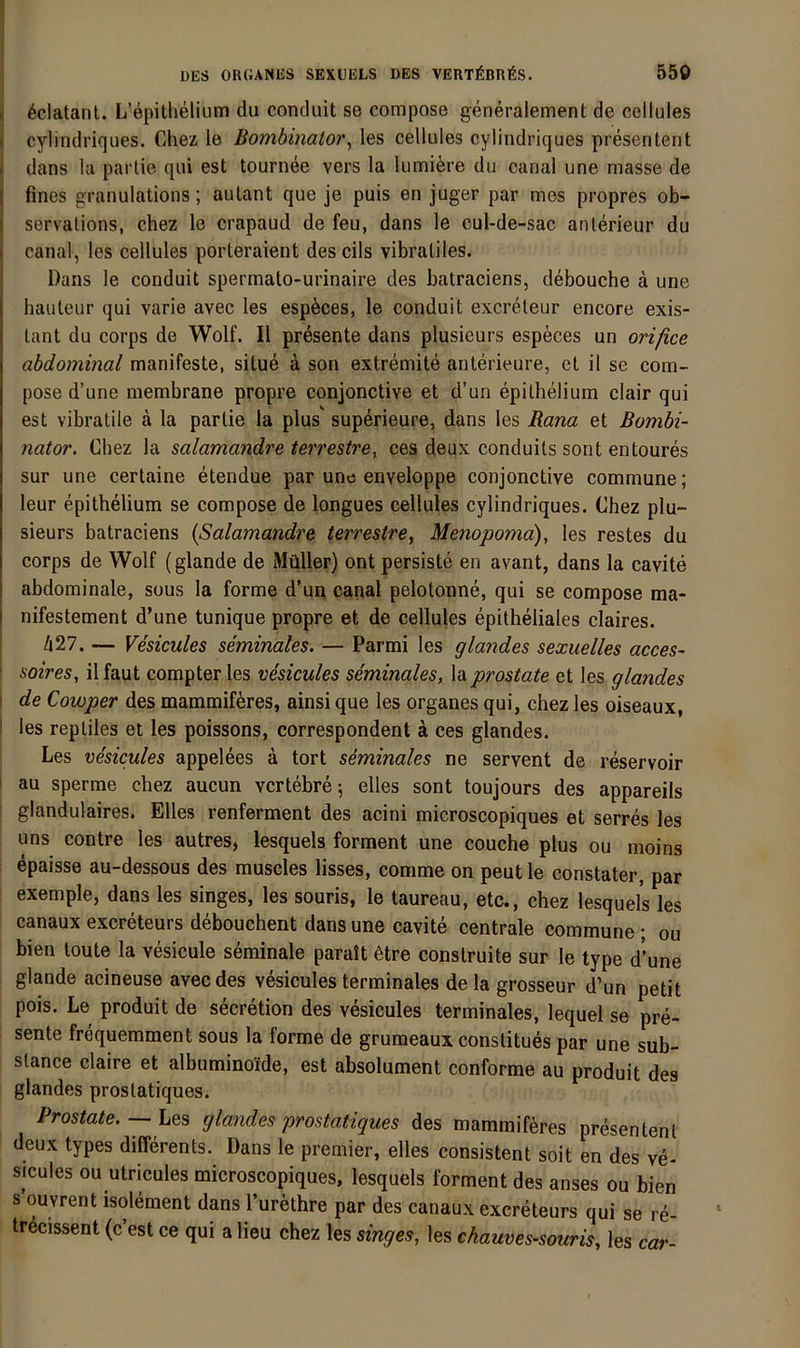 i 6clatanl. L’epithelium du conduit se compose generalement de cellules ( cylindriques. Chez le Bombinator^ les cellules cylindriques presentent j dans la partie qiii est tournee vers la lumifere du canal une masse de fines granulations; autant que je puls en juger par mes propres ob- I servalions, chez le crapaud de feu, dans le cul-de-sac anlerieur du canal, les cellules porteraient des cils vibraüles. Dans le conduit spermato-urinaire des batraciens, debouche ä une hauteur qui varie avec les esp^ces, le conduit excreteur encore exis- Lant du corps de Wolf. II presente dans plusieurs especes un orijice abdominal manifeste, situe ä son extremite anterieure, et il se com- pose d’une membrane propre conjonctive et d’un epilhelium clair qui est vibratile ä la partie la plus' superieure, dans les Rana et Bombi- nator. Chez la salamandre terrestre, ces deux conduils sont entoures sur une certaine etendue par unc enveloppe conjonctive commune; leur epithelium se compose de longues cellules cylindriques. Chez plu- sieurs batraciens {Salamandre terrestre, Menopomä), les restes du corps de Wolf (glande de Müller) ont persiste en avant, dans la cavite abdominale, sous la forme d’un canal pelotonne, qui se compose ma- nifestement d’une tunique propre et de cellules epitheliales claires. 427. — Vesicules seminales. — Parmi les glandes sexuelles acces- ' soires, il faut compter les vesicules seminales, \d.prostate et les glandes ! de Cowper des mammif^res, ainsi que les Organes qui, chez les oiseaux, i les reptiles et les poissons, correspondent ä ces glandes. Les vesicules appelees ä tort seminales ne servent de reservoir i au sperme chez aucun vcrtebre; elles sont toujours des appareils glandulaires. Elles renferment des acini microscopiques et serres les uns contre les autres, lesquels formen! une couche plus ou moins epaisse au-dessous des muscles lisses, comme on peut le constater, par exemple, dans les singes, les souris, le taureau, etc., chez lesque/s les canaux excreteurs debouchent dans une cavite centrale commune ; ou bien toute la vesicule seminale paralt ütre construite sur le type d’une glande acineuse avec des vesicules terminales dela grosseur d’un petit pois. Le produit de secretion des vesicules terminales, lequel se pre- sente frequemment sous la forme de grumeaux constitues par une sub- slance claire et albuminoide, est absolument conforme au produit des glandes prostatiques. Prostate. — Les glandes prostatiques des mammiföres presentent deux types differents. Dans le premier, elles consistent soit en des ve- sicules ou utricules microscopiques, lesquels formen! des anses ou bien s ouvrent isolement dans l’urethre par des canaux excreteurs qui se re- trecissent (c’est ce qui a lieu chez les singes, les chauves-souris, les car-