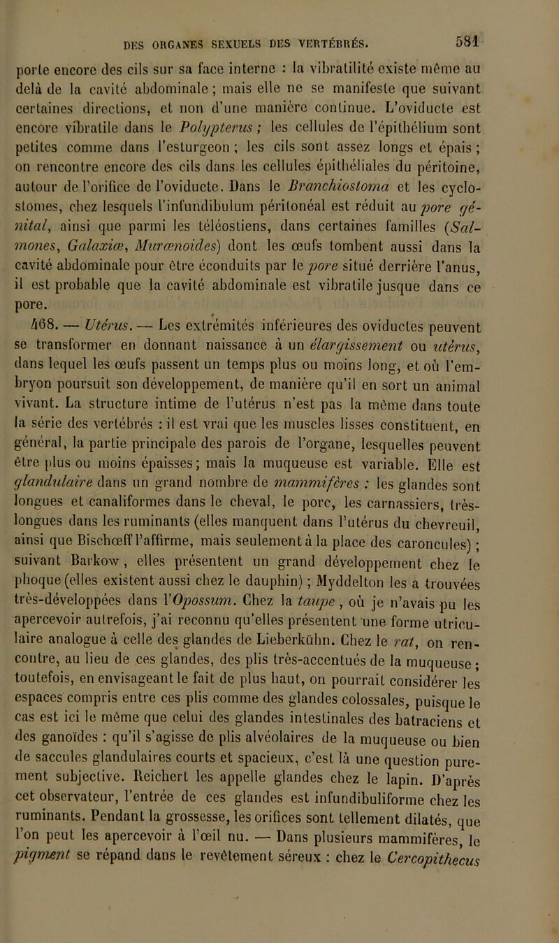 porle encore des cils sur sa face interne : la vibratilite existe niöme au dela de la cavite abdominale; mais eile ne se manifeste que suivant certaines direclions, et non d’une maniere conlinue. L’oviducte est encore vibratile dans le Polypterus; les cellules de l’epitbelium sont petites comme dans Testurgeon ; Ics cils sont assez longs et epais; on rencontre encore des cils dans les cellules epitheliales du peritoine, autour del'orifice de l’oviducte. Dans le Branchiostoma et les cyclo- stomes, cbez lesquels l’infundibulum peritoneal est reduit au pore ge- nital, ainsi que parmi les teleosliens, dans certaines familles {Sal- mones, Galaxim, Muramoides) dont les oeufs tombent aussi dans la cavite abdominale pour 6tre econduits par \q jjore situe derriere l’anus, il est probable que la cavite abdominale est vibratile jusque dans ce pore. /|68. — Uterus. — Les extremites inferieures des oviducles peuvent se transformer en donnant naissance a un elargissement ou iiterus, dans lequel les oeufs passent un temps plus ou moins long, et ou l’em- bryon poursuit son developpement, de maniere qu’il en sort un animal vivant. La structure intime de l’uterus n’est pas la möme dans toute la Serie des vertebres : il est vrai que les muscles lisses constituent, en general, la partie principale des parois de l’organe, lesquelles peuvent 6lre i)lus ou moins epaisses; mais la muqueuse est variable. Elle est glandulaire dans un grand nombre de mammiferes : les glandes sont longues et canaliformes dans le cheval, le pore, les carnassiers, Ires- longues dans lesruminants (elles manquent dans l’uterus du chevreuil, ainsi que Biscboelf Taffirme, mais seulementäla place des caroncules); suivant Barkow, elles presentent un grand developpement cbez le pboque (elles existent aussi cbez le dauphin); Myddelton les a trouvees tres-developpees dans XOpossum. Cbez la taiipe, oii je n’avais pu les apercevoir aulrefois, j’ai reconnu qu'elles presentent une forme utricu- laire analogue ä celle des glandes de Lieberkühn. Cbez le rat, on ren- contre, au lieu de ces glandes, des plis tres-accentues de la muqueuse ; toutefois, en envisageant le fait de plus haut, on pourrait considerer les espaces compris entre ces plis comme des glandes colossales, puisque le cas est ici le möme que celui des glandes intestinales des batraciens et des ganoides : qu’il s’agisse de plis alveolaires de la muqueuse ou bien de saccules glandulaires courts et spacieux, c’est lä une question pure- ment subjeclive. Reichert les appelle glandes cbez le lapin. D’apres cet observateur, l’entree de ces glandes est infundibuliforme cbez les ruminants. Pendant la grossesse, lesorifices sont tellement dilates, que Fon peut les apercevoir ä Foeil nu. — Dans plusieurs mammiferes, le pigment se repand dans le revötement sereux : cbez le Cercopithecus