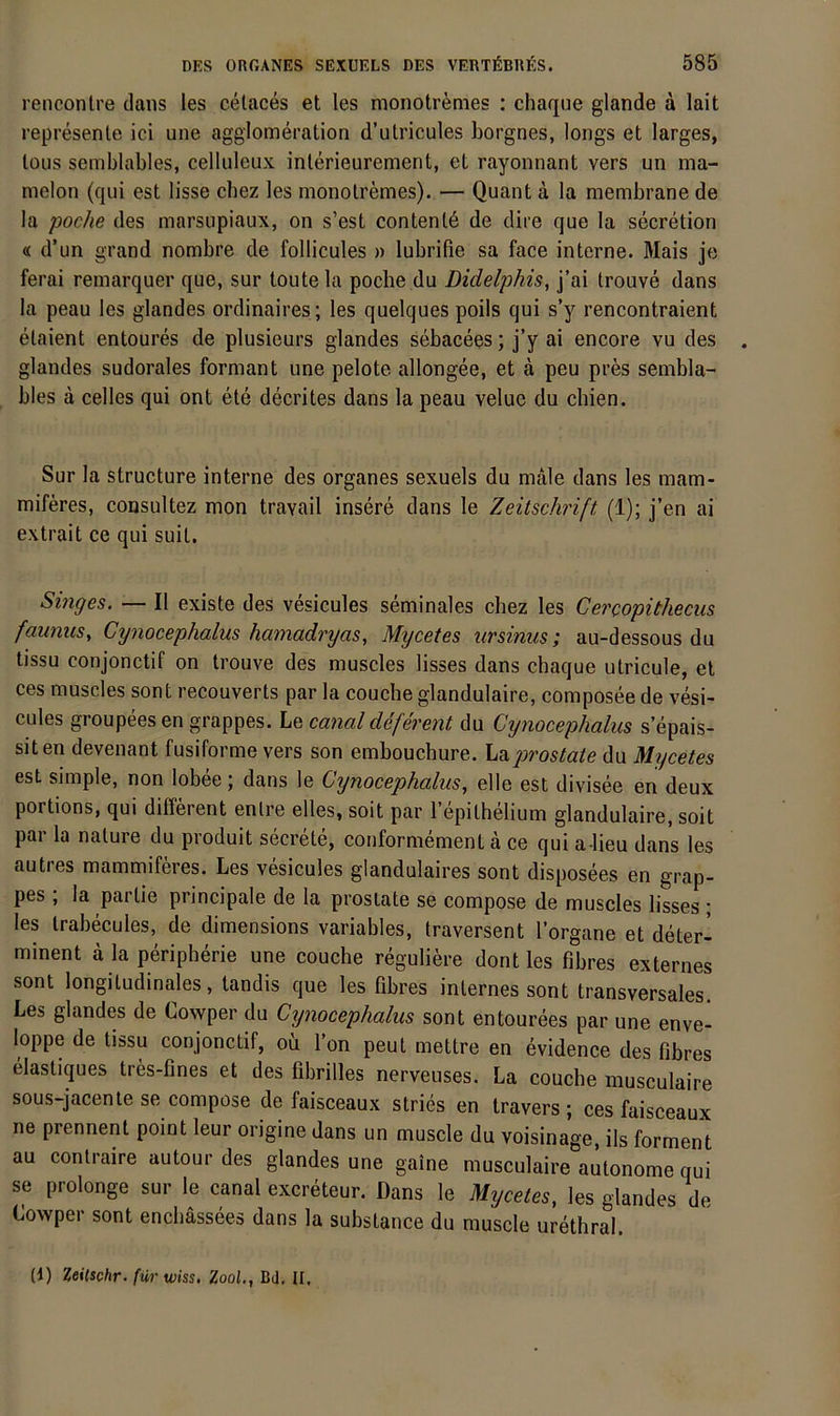 renconlre daiis les cetaces et les monotr^aies ; chaque glande a lait represenle ici une agglomeration d’utricules borgnes, longs et larges, lous semblables, celluleux inlerieurement, et rayonnant vers un ma- melon (qiii est lisse cbez les monotremes). — Quant ä la membrane de la poche des marsiipiaux, on s’est contenl6 de dire que la secretion « d’un grand nombre de follicules » lubrifie sa face interne. Mais je ferai remarquer que, sur toutela poche du Didelphis, j’ai trouve dans la peau les glandes ordinaires; les quelques poils qui s’y rencontraient elaient entoures de plusieurs glandes sebacees; j’y ai encore vu des glandes sudorales formant une pelote allongee, et a peu pres sembla- bles a celles qui ont ete decrites dans la peau velue du cbien. Sur la structure interne des Organes sexuels du male dans les mam- miferes, cousultez mon travail insere dans le Zeitschrift (1); j’en ai extrait ce qui suit. Singes. — II existe des vesicules seminales cbez les Cercopithecus fauniis, Cynocephalus hamadryas, Mycetes ursinus; au-dessous du tissu conjonctif on trouve des muscles lisses dans chaque ulricule, et ces muscles sont recouverts par la couche glandulaire, composee de vesi- cules groupees en grappes. Le canal deferent du Cynocephalus sepais- siten devenant fusiforme vers son embouchure. hdi jjrostate du Mycetes est simple, non lobee; dans le Cynocephalus, eile est divisee en deux portions, qui different enlre eiles, soit par l’epithelium glandulaire, soit pai la nalure du pioduit secrete, conformement a ce qui a-lieu dans les autres mammiferes. Les vesicules glandulaires sont disposees en grap- pes , la parlie principale de la proslate se compose de muscles lisses ; les Irabecules, de dimensions variables, traversent l’organe et deter- minent ä la peripherie une couche reguliere dont les fibres externes sont longitudinales, tandis que les fibres internes sont transversales Les glandes de Cowper du Cynocephalus sont entourees par une enve- loppe de tissu conjonctif, ob l’on peut mettre en evidence des fibres Mastiques tres-fines et des fibrilles nerveuses. La couche musculaire sous-jacenle se compose de faisceaux stries en travers; ces faisceaux ne prennent point leur origine dans un muscle du voisinage, ils forment au contraire autour des glandes une gaine musculaire autonome qui se prolonge sur le canal excreteur. Dans le Mycetes, les glandes de Cowper sont encliässees dans la substance du muscle urethral. (1) Zeitschr. für wiss, Zool., Bd. II,
