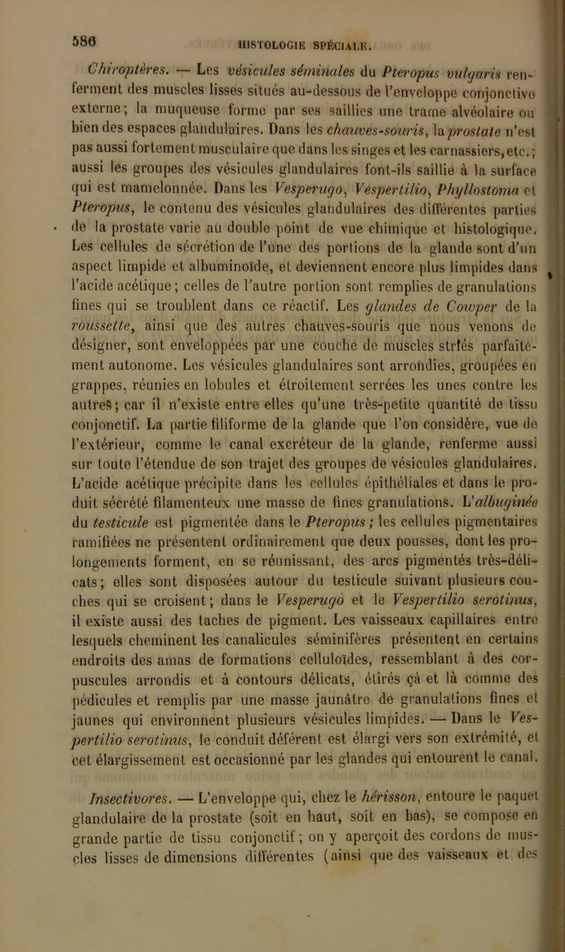 580 HISTOLOGIE 8P6CIALK. Chiropteres. — Les vesicules siminales du Pteropus mlgaris ren- fernient des muscles lisses silues au-dessous de l’enveloppe conjonclivo exlerne; la muqueuse forme par ses saillies une trame alveolaire ou bien des espaces glandulaires. Dans les chauves-souris, hproslate n’esl ^ pas aiissi fortemen t musculaire que dans les singes et les carnassiers, etc.; ' aussi les groupes des vesicules glandulaires font-ils saillie a la surface qui est mamelonnee. Dans les Vesperugo^ Vespertilio^ Phyllostoma el Pteropus, le contenu des vesicules glandulaires des difierentes parlies • de la prostate varie au double point de vue chimique et histologique. Les cellules de secretion de Tune des porlions de la glande sont d’un aspect limpide et albuminoide, et deviennent encore plus limpides dans ^ l’acide acelique; celles de Tautre porlion sont remplies de granulalions fines qui se troublent dans ce reactif. Les glandes de Cowper de la roussette, ainsi que des aulres chauves-souris que nous venons de designer, sont enveloppees par une couche de muscles strles parfaite- ment autonome. Les vesicules glandulaires sont arrondies, groupees en grappes, reunies en lobules et elroitement serrees les unes conlre les autreS; car il n’existe entre elles qu’une tr^s-petite quantite de tissu conjonclif. La partie filiforme de la glande que l’on consid^re, vue de l’exterieur, comme le canal excreteur de la glande, renferme aussi sur toute l’etendue de son trajet des groupes de vesicules glandulaires. L’acide acelique precipite dans les cellules epitheliales et dans le pro- duit secrete filamenteux une masse de fines granulations. h'albuginee du testicide est pigmentee dans le Pteropus; les cellules pigmentaires ramifiees ne presentent ordinairement que deux pousses, dont les pro- longements forment, en se reunissant, des arcs pigmentes tres-deli- cats; elles sont disposees autour du testicule suivant plusieurs cou- ches qui se croisent; dans le Vesperugo et le Vespertilio serotinus, il existe aussi des taches de pigment. Les vaisseaux capillaires entre lesquels cheminent les canalicules seminif^res presentent en certains endroits des amas de formations Celluloides, ressemblant a des cor- g puscules arrondis et ä contours delicats, elires qä et lä comme des ^ pedicules et remplis par une masse jaunätre de granulalions fines el jaunes qui environnent plusieurs vesicules limpides. — Dans le Ves~ pertilio serotinus, le conduit deferent est elargi vers son exlremite, el cet elargissement est occasionne par les glandes qui entourent le canal. Insectivores. — L’enveloppe qui, chez le herisson, entoure le paquel glandulaire de la prostate (soit en haut, soit en bas), se compose en grande partie de tissu conjonclif; on y apergoit des cordons de mus- cles lisses de dimensions difierentes (ainsi que des vaisseaux et des