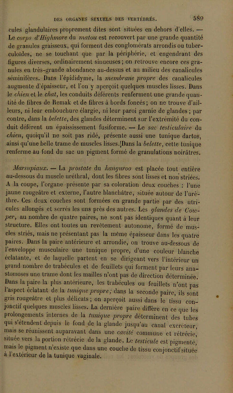 cules glandulaires proprement dites sont situees en dehors d’elles. — Le corps d’Highmore du malou est recouvert par une grande qiiantite de granules graisseux, qui forment des conglomerats arrondis ou tuber- culoides, ne se touchant que par la peripherie, et engendrant des ligures diverses, ordinairement sinueuses; on relrouve encore ces gra- nules en tres-grande abondance au-dessus et au milieu des canalicules seminiföres. Dans l’^pididyme, la membrane propre des canalicules augmente d’epaisseur, et l’on y apergoit quelques muscles lisses. Dans le chien et le chat^ les conduits deferents renferrnent une grande quan- lite de fibres de Remak et de fibres a bords fonces; on ne trouve d’ail- leurs, ni leur emboucbure elargie, nileur paroi garnie de glandes ; par contre, dans la belette, des glandes determinent sur l’extremite du con- duit deferent un epaississement fusiforme. — Le sac testiculaire du chien, quoiqu’il ne soit pas ride, presente aussi une tunique dartos, ainsi qu’une belle trame de muscles lisses.[Dans la belette, cetle tunique renferme au fond du sac un pigment forme de granulations noiratres. Marsupiaux. — La prostate du kanguroo est placke tout entiere au-dessous du muscle urethral, dont les fibres sont lisses et non striees. A la coupe, l’organe presente par sa coloration deux couches : l’une jaune rougeätre et externe, l’autre blanchatre, situee autour de l’ure- Ihre. Ces deux couches sont formees en grande partie par des utri- cules allonges et serres les uns prös des aulres. Les glandes de Cow- 2)er, au nombre de quatre paires, ne sont pas identiques quant ä leur structure. Elles ont toutes un revötement autonome, forme de mus- cles stries, mais ne presenlant pas la meme epaisseur dans les quatre paires. Dans la paire anterieure et arrondie, on trouve au-dessous de l’enveloppe musculaire une tunique propre, d’une couleur blanche eclatanle, et de laquelle partent en se dirigeant vers Finterieur un grand nombre de trabecules et de feuillets qui forment par leurs ana- stomoses une trame dont les mailles n’ont pas de direction determinee. Dans la paire la plus anterieure, les trabecules ou feuillets n’ont pas l’aspect eclatant de la tunique qgropre; dans la seconde paire, ils sont gris rougeätre et plus delicats; on apergoit aussi dans le tissu con- jonclif quelques muscles lisses. La derniere paire differe en ce que les prolongements internes de la tunique ptropre determinent des tubes qui s’etendent depuis le fond de la glande jusqu’au canal excreteur, mais se reunissent auparavant dans une cavite commune et retrecie,’ situee vers la portion retrecic de la glande. Le testicule est pigmente,’ mais le pigment n’exisle que dans une coucbe de tissu conjonctif situee a Fexterieur de la tunique vaginale.