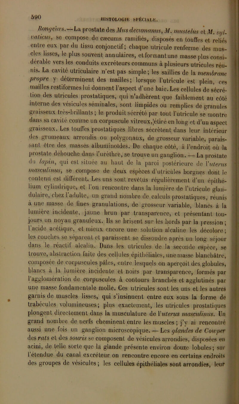 Honf/eurs. — Lu prostate des Mus decwnanits, M. muslelus et M. syl. vaticus, se compose de ciecums ramiliös, disposes en loulles et relies ^ entre eux par du tissu conjonclif; chaque ulricule renferme des mus- ?, des hsses, le plus souvent annulaires, etlbrmantune müsse plus consi- ^ J derable vers les couduits excreteurs communs a plusieurs utricules reu- j uis. La cavite utriculaire n’est pas simple; les saillies de la membram f propre y determinent des mailles; lorsque l’utricule est plein, ces i mailles restiformes lui donnent l’aspect d’une baie. Les cellules de secrd tion des utricules prostatiques, qui n’adb^rent que faiblement au cöte : interne des vesicules seminales, sont limpides ou remplies de granules i ! graisseux tres-brillanls; le produit secrde par tout l’utricule se montre S ii dans sa cavite comme un corpuscule vilreux,;etire en long et d’un aspect ' ' giaisseux. Les touffes prostatiques libres secretent dans leur Interieur des grumeaux arrondis ou polygonaux, de grosseur variable, parais- I | sunt ötre des masses albumiuoides. De chaque cöte, ä l’endroit ou la | i prostate debouche dans rurellire, se trouve un ganglion. — La prostate du lapin, qui est situee au baut de la paroi posterieure de Vuterus masciämus, se compose de deux especes d’utricules borgnes dont le i i contenu est different. Les uns sont revölus regulierement d’un epilbe- ' lium cylindrique, et Fon rencontre dans la lumiere de Futricule glan- dulaire, chez Fadulte, un grand nornbre de calculs prostatiques, reunis ' a une masse de fiues granulations, de grosseur variable, blancs ä la < S lumiere incidente, jaune brun par transparence, et presentant tou- ' - jours un noyau granuleux. Ils se brisent sur les bords par la pression ; 1 acide acetique, et mieux encore une solution alcaline les decolore; i les couches se separcnt et paraissent se dissoudre apres un long sejour | dans le reaclif alcalin. Dans les uti’icules de la seconde espece, se h j trouve, abslraction faite des cellules epitheliales, une masse blancbätre, composee de corpuscules päles, entre lesquels on apergoit des globules, , blancs a la lumiere incidente et noirs par transparence, formes par ' Fagglomeralion de corpuscules ä contours branches et agglutines par i i une masse fondamentale molle. Ces utricules sont les uns et les autres garnis de muscles lisses, qui s’insinuent entre eux sous la forme de ' ! trabecules voluraineuses; plus exactement, les utricules prostatiques plongent directement dans la musculature de Vuterus mascuiinus. Un grand nombre de nerls cheminent entre les muscles ; j’y ai rencontre i aussi une fois un ganglion microscopique. — Les glandes de Cowper des rats et des souris se composent de vesicules arrondies, disposees en acini, de teile sorte que la glande presente environ douze lobules; sur | l etendue du canal excreteur on rencontre encore en certains endroits des groupes de vesicules; les cellules epithelialC/S sont arrondies, leur