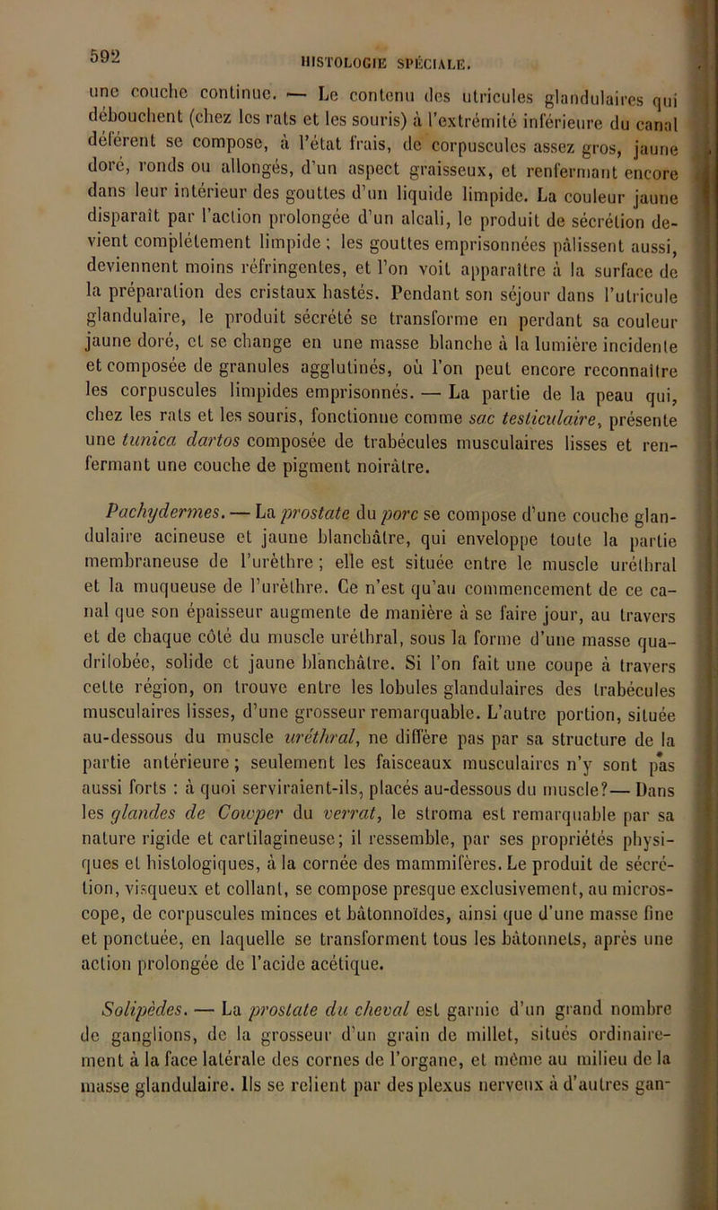 iine coiiche conlinuc. ■— Le conlcmi des utricules glandulaires qui debouclient (chez Ics rals et les souris) a l’extremite inlerieure du carial deferent se compose, a l’etat Irais, de corpuscules assez gros, jaune dore, ronds ou allonges, d’un aspect graisseux, et renferniaiit encore dans leur interieur des gouttes d’un liquide limpide. La couleur jaune disparait par l’aclion prolongee d’un alcali, le produit de secrelion de- vient complelement limpide ; les gouttes emprisonnees palissent aussi, deviennent moins refringenles, et l’on voit apparaitre ä la surface de la preparalion des cristaux liastes. Pendant son sejour dans rulricule glandulaire, le produit secrete se transforme en perdant sa couleur jaune dore, et se cbange en une niasse blanche a la lumiere incidenle et composee de granules agglutines, oü l’on peut encore reconnaitre les corpuscules limpides emprisonnes. — La partie de la peau qui, cbez les rats et les souris, fonclionne corame sac tesliculaire, presente une tunica dartos composee de trabecules rnusculaires lisses et ren- fermant une couche de pigment noiralre. Pachydermes. — La prostate du porc se compose d’une couche glan- dulaire acineuse et jaune blanchalre, qui enveloppe toute la partie membraneuse de l’urethre; eile est situee cntre le muscle urethral et la muqueuse de l’urelhre. Ce n’est qu’au commencement de ce ca- nal que son epaisseur augmente de maniere ä se faire jour, au travers et de chaque cole du muscle urethral, sous la forme d’une masse qua- drilobec, solide et jaune blanchalre. Si l’on fait une coupe cä travers celte region, on Irouve entre les lobules glandulaires des trabecules rnusculaires lisses, d’une grosseur remarquable. L’autre portion, situee au-dessous du muscle urethral, ne differe pas par sa structure de la partie anterieure; seulement les faisceaux rnusculaires n’y sont pas aussi forts : ä quoi serviraient-ils, places au-dessous du muscle?— Dans les glandes de Cowper du verrat, le slroma est remarquable par sa nalure rigide et carlilagineuse; il ressemble, par ses proprietes physi- ques et histologiques, a la cornee des mammiferes. Le produit de secrc- lion, visqueux et collanl, se compose presque exclusivement, au micros- cope, de corpuscules minces et bätonnoldes, ainsi que d’une masse fine et ponctuee, en laquelle se transforment tous les batonnets, apres une action prolongee de l’acide acetique. Solipedes. — La proslate du cheval est garnie d’un grand nombre de ganglions, de la grosseur d’un grain de millet, situes ordinaire- inent ä la face laterale des cornes de l’organe, et möme au milieu de la masse glandulaire. lls se relient par des plexus nerveux ä d’autres gan-