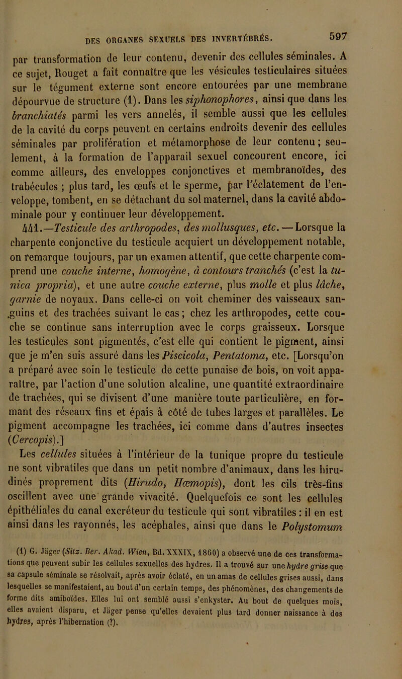 par transformation de leur contenu, devenir des cellules s6minales. A ce Sujet, Rouget a fait connaitre que les vesicules testiculaires situees sur le tegument externe sont encore entourees par une membrane depourvue de structure (1). Dans les siphonophot'es, ainsi que dans les branchiates parmi les vers anneles, il semble aussi que les cellules de la cavile du corps peuvent en certains endroits devenir des cellules seminales par proIiferation et metamorphose de leur contenu; seu- lement, ä la formation de l’apparail sexuel concourent encore, ici commc ailleurs, des enveloppes conjonctives et membranoides, des trabecules; plus tard, les ceufs et le sperme, far l’eclatement de l’en- veloppe, tombent, en se detachant du sol maternel, dans la cavite abdo- minale pour y continuer leur developpement. 4Ä1.—Testicule des arthropodes^ des mollusques, etc. — Lorsque la charpente conjonctive du testicule acquiert un developpement notable, on remarque toujours, par un examen attentif, que cette charpente com- prend une couche interne, homogene, ä contours tranches (c’est la tu- nica proprio), et une autre couche externe, plus molle et plus Idche, garnie de noyaux. Dans celle-ci on voit cheminer des vaisseaux san- .gnins et des trachees suivant le cas; chez les arthropodes, cette cou- che se continue sans interruption avec le corps graisseux. Lorsque les testicules sont pigmentes, c'est eile qui contient le pigment, ainsi que je m’en suis assure dans les Piscicola, Pentatoma, etc. [Lorsqu’on a prepare avec soin le testicule de cette punaise de bois, on voit appa- raitre, par l’action d’une solution alcaline, une quantite extraordinaire de trachees, qui se divisent d’une maniere tonte particuliere, en for- mant des reseaux fins et epais ä cöte de tubes larges et parallMes. Le pigment accompagne les trachees, ici comme dans d’autres insectes {Cercopis).'] Les cellules situees ä l’interieur de la tunique propre du testicule ne sont vibraliles que dans un petit nombre d’animaux, dans les hiru- dines proprement dits {Hirudo, Hcemopis), dont les cils trös-fins oscillent avec une grande vivacite. Quelquefois ce sont les cellules Epitheliales du canal excreteur du testicule qui sont vibratiles: il en est ainsi dans les rayonnes, les acephales, ainsi que dans le Polystomum (1) G. Jäger {Sitz. ßer. AIcäd. Wien, Bd. XXXIX, 1860) a observ6 une de ces transforma- tions que peuvent subir les cellules sexuelles des hydres. Il a trouv6 sur une hydre grise que sa capsule söminale se rösolvait, apres avoir dclatö, en unamas de cellules grises aussi, dans lesquelles se manifestaient, au boutd’un certain tenips, des ph6nomenes, des changements de fornae dits amiboides. Elles lui ont sembl6 aussi s’enkyster. Au bout de quelques mois, elles avaient disparu, et Jäger pense qu’elles devaient plus tard donner naissance ä das bydres, apres l’hibernation (?).