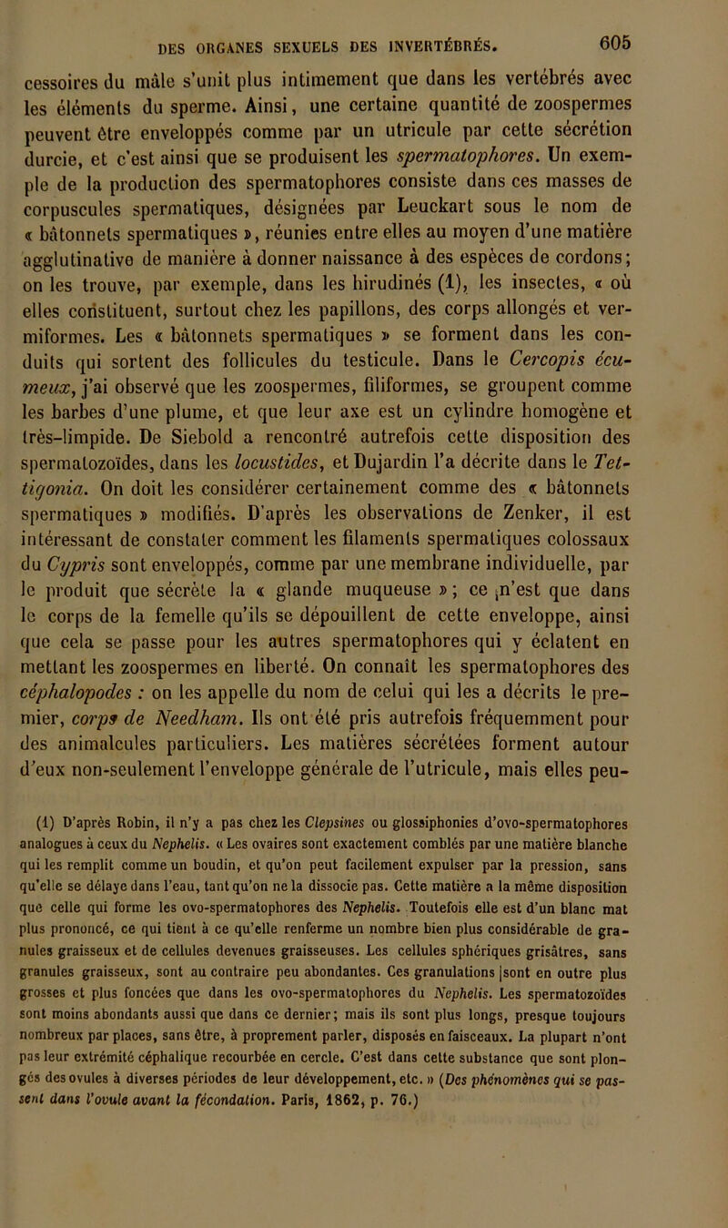 cessoires du male s’unil plus intiraement que dans ies vertebrds avec les elemenls du sperme. Ainsi, une certaine quantite de zoospermes peuvent 6tre enveloppes comme par un utricule par cette secretion durcie, et c est ainsi que se produisent les spermatophores. Un exem- ple de la produclion des spermatophores consiste dans ces masses de corpuscules spermatiques, designees par Leuckart sous le nom de « bätonnels spermatiques j>, reunies entre elles au moyen d’une matifere agglutinativo de maniere ä donner naissance a des esp^ces de cordons; on les trouve, par exemple, dans les hirudines (1), les insectes, a oü elles coristituent, surtout chez les papillons, des corps allonges et ver- miformes. Les « batonnets spermatiques > se forment dans les con- duits qui sortent des follicules du testicule. Dans le Cercopis dcu- meux,]Q.\ observe que les zoospermes, filiformes, se groupent comme les barbes d’une plume, et que leur axe est un cylindre homogene et Ires-limpide. De Siebold a rencontrö autrefois cette disposition des spermatozo'idesj dans les locustides, et Dujardin l’a decrite dans le Tet~ tigonia. On doit les considerer certainement comme des « batonnets spermatiques d modifies. D’apres les observalions de Zenker, il est interessant de constater commentles filaments spermatiques colossaux du Cypris sont enveloppes, comme par unemembrane individuelle, par le produit que secrete la « glande muqueuse d ; ce jn’est que dans Ic corps de la femelle qu’ils se depouillent de cette enveloppe, ainsi que cela se passe pour les antres spermatophores qui y eclatent en mettant les zoospermes en liberte. On connait les spermatophores des cephalopodes : on les appelle du nom de celui qui les a decrits le pre- mier, corps de Needham. Ils ont et6 pris autrefois frequemment pour des animalcules particuliers. Les matieres secretees forment autour d^eux non-seulement l’enveloppe generale de l’utricule, mais elles peu- (1) D’aprös Robin, il n’y a pas chez les Clepsines ou glossiphonies d’ovo-spermatophores analogues ä ceux du Nephelis. « Les ovaires sont exactenient combles par une maliere blanche qui les remplit comme un boudin, et qu’on peut facilement expulser par la pression, sans qu’elle se delaye dans l’eau, tant qu’on ne la dissocie pas. Cette matiere a la meme disposition que celle qui forme les ovo-spermatophores des Nephelis. Toutefois eile est d’un blanc mat plus prononcd, ce qui tient ä ce qu’elle renferme un nombre bien plus considerable de gra- nules graisseux et de cellules devenues graisseuses. Les cellules spheriques grisätres, sans granules graisseux, sont au contraire peu abondantes. Ges granulations jsont en outre plus grosses et plus foncees que dans les ovo-spermatophores du Nephelis. Les spermatozoides sont moins abondants aussi que dans ce dernier; mais ils sont plus longs, presque loujours nombreux parplaoes, sans 6tre, ä proprement parier, disposes enfaisceaux. La plupart n’ont pas leur extremite c6phalique recourbde en cercle. C’est dans cette substance que sont plon- gds des ovules ä diverses periodes de leur döveloppement, etc. » (Des pMnomenes qui se pas- senl dans l’ovule avant la ficondalion. Paris, 1862, p. 76.)