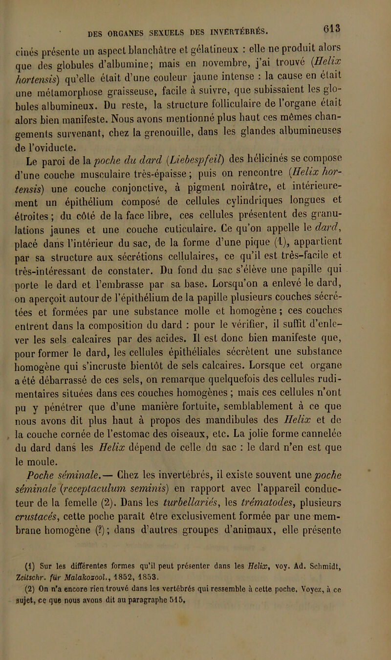 eines presente un aspecl blanchätre etgelatineux : eile neprodnit alors que des globales d’albumine; mais en novembre, j’ai trouve {Eehx hortejisis) qu’elle elait d’une couleur jaune intense : la cause en elait une metamorpbose graisseuse, facile a suivre, que subissaient les glo- bules albumineux. Du reste, la structure folliculaire de l’organe elait alors bien manifeste. Nous avons mentionne plus haut ces meines chan- gemenls survenant, chez la grenouille, dans les glandes albumineuses de l’oviducle. Le paroi de la poche du dard {Liebespfeil) des helicines se compose d’une couche musculaire tres-epaisse; puis on rencontre [Helix hor- tensis) une couche conjonctive, ä pigmenl noirätre, et interieure- ment un epithelium compose de cellules cylindriques longues et etroites ; du cöle de la face libre, ces cellules presentent des granu- lations jaunes et une couche cuticulaire. Ce qu’on appelle le dard, place dans l’interieur du sac, de la forme d’une pique (1), apparlient par sa structure aux secretions cellulaires, ce qu’il est tres-lacile et tres-interessant de constater. Du fond du sac s’eleve une papille qui porte le dard et l’embrasse par sa base. Lorsqu’on a enleve le dard, on apei’Qoit autour de repithelium de la papille plusieurs couches secre- tees et formees par une substance molle et homogene; ces couches entrent dans la composition du dard : pour le verifier, il suffit d’enle- ver les sels calcaires par des acides. II est donc bien manifeste que, pour former le dard, les cellules epitheliales secrelent une substance homogene qui s’incruste bienlöt de sels calcaires. Lorsque cet organe aete debarrasse de ces sels, on remarque quelquefois des cellules rudi- mentaires situees dans ces couches homogenes ; mais ces cellules n’ont pu y penetrer que d’une maniere fortuite, semblablement ä ce que nous avons dit plus haut ä propos des mandibules des Helix et de la couche cornee de l’estomac des oiseaux, etc. La jolie forme cannelee du dard dans les Helix depend de celle du sac : le dard n’en est que le moule. Poche seminale.— Chez les invertebres, il existe souvent \m& poche seminale [receptaculum seminis) en rapport avec l’appareil conduc- teur de la femelle (2). Dans les turbellaries, les trematodes, plusieurs crustaces, cette poche parait ötre exclusivement formee par une mem- brane homogene (?); dans d’aulres groupes d’animaux, eile presente (1) Sur les differentes formes qu’il peut presenter dans les Helix, voy. Ad. Schmidt, Zcitschr. für Malakozool., 1852, 1853. (2) On n’a encore rien trouve dans les vert6br6s qui ressemble a cette poche. Voyez, a ce Bujet, ce que nous avons dit au paragraphe 515,