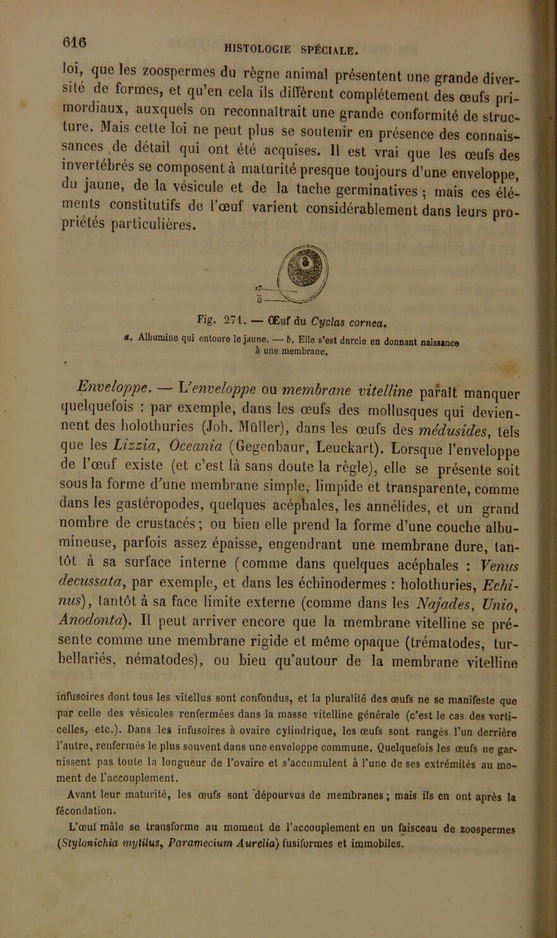 HISTOLOGIE SPfiCIALE. loi, que les zoospermes du rögne animal pr^sentent une grande diver- sile de formes, et qu’en cela ils different completement des oeufs pri- mordiaux, auxquels on reconnaltrait une grande conformite de slruc- ture. Mais cetle loi ne peiit plus se soulenir en presence des connais- sances ^de detail qui ont ete acquises. II est vrai que les oeufs des invertebres se composent ä maturite presque toujours d’une enveloppe, du jaune, de la vesicule et de la tache germinatives 5 mais ces ele- ments constitulifs de l’oeuf varient considerablement dans leurs pro- prietes particulieres. E7iveloppe. — Uenveloppe ou membrane vitelline pafalt manquer quelquefois : par exemple, dans les oeufs des mollusques qui devien« nent des bolothuries (Job. Müller), dans les oeufs des medusides, tels que les Lizzia, Oceania (Gegenbaur, Leuckart). Lorsque l’enveloppe de 1 oeuf existe (et c est la sans doute la regle)j eile se presente soit SOUS la forme d une membrane simple, limpide et transparente, comme dans les gasteropodes, quelques acepbales, les annelides, et un grand nombre de crustaces; ou bien eile prend la forme d’une couche albu- mineuse, parfois assez epaisse, engendrant une membrane dure, tan- töt a sa surface interne (comme dans quelques acepbales : Venus decussata, par exemple, et dans les echinodermes : bolothuries, Echi~ nus), tantöt ä sa face limite externe (comme dans les Najades, Unio, Anodonta). II peut arriver encore que la membrane vitelline se pre- sente comme une membrane rigide et möme opaque (trematodes, tur- bellaries, nematodes), ou bieu qu’autour de la membrane vitelline infusoii’es dont tous les vitellus sont confondus, et la pluralitö des oeufs ne se manifeste que par celle des v6sicules renfermees dans la masse vitelline gdnerale (c’est le cas des vorti- celles, etc.). Dans les infusoires ä ovaire cylindrique, les oeufs sont ranges Tun derriöre l’autre, renfermes le plus souvent dans une enveloppe commune. Quelquefois les oeufs ne gar- nissent pas toute la longueur de l’ovaire et s’accumulent ä l’une de ses extrdmites au mo- ment de Taccouplement. Avant leur maturitd, les oeufs sont 'depourvus de membranes; mais ils en ont aprös la f6condation. L’oeul male se transforme au moment de l’accouplement en un faisceau de loospermes {Stylonichia mytilns, Paramecium Aurelia) lüsiforraes et immobiles. Fig. 271. — OEuf du Cyclas cornea. a. Albumine qui cntouro le jaune. — b. Elle s’est dnrcie cn donnanl naissance b une membrane.