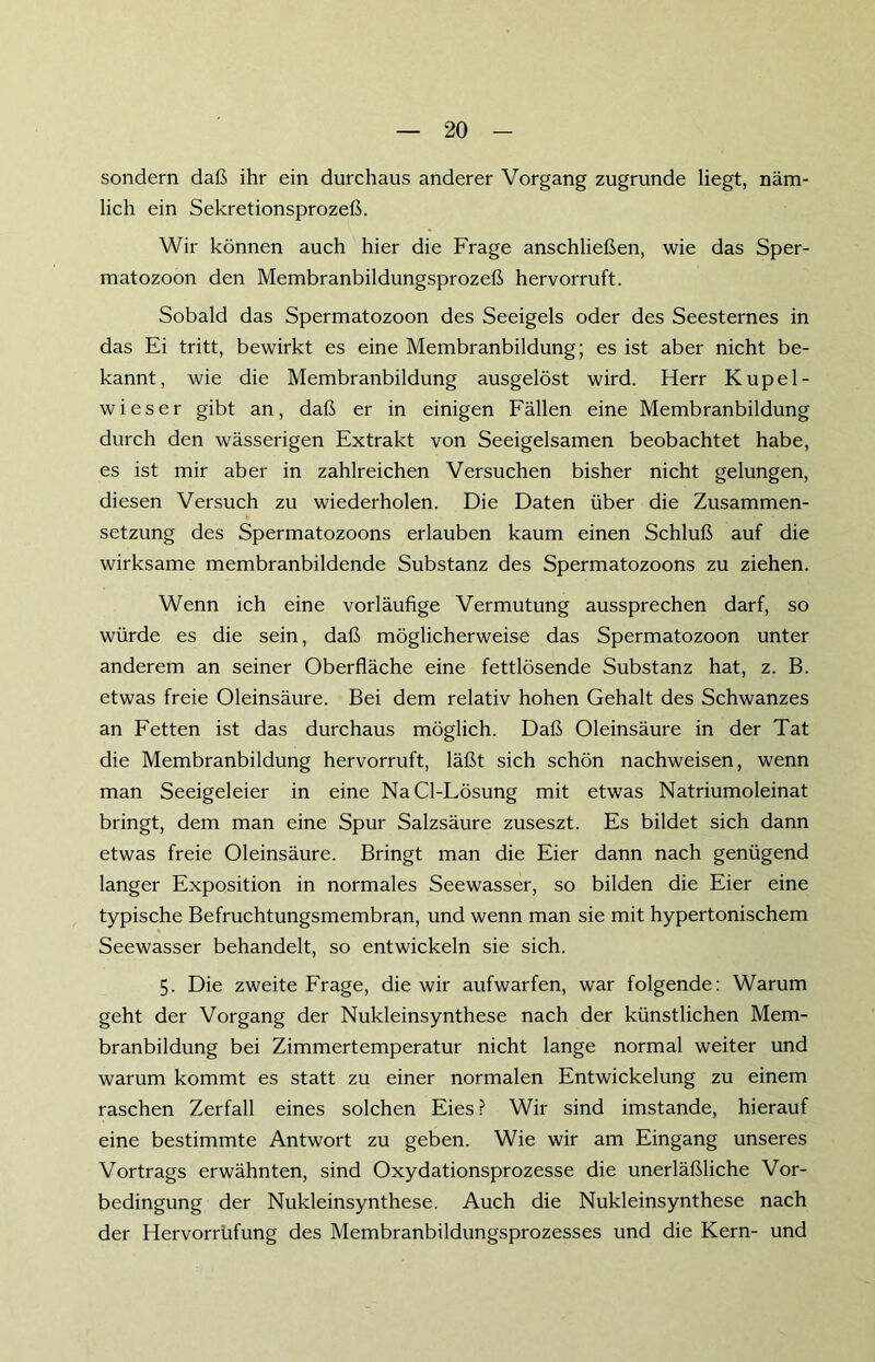 sondern daß ihr ein durchaus anderer Vorgang zugrunde liegt, näm- lich ein Sekretionsprozeß. Wir können auch hier die Frage anschließen, wie das Sper- matozoon den Membranbildungsprozeß hervorruft. Sobald das Spermatozoon des Seeigels oder des Seesternes in das Ei tritt, bewirkt es eine Membranbildung; es ist aber nicht be- kannt, wie die Membranbildung ausgelöst wird. Herr Kupel- wieser gibt an, daß er in einigen Fällen eine Membranbildung durch den wässerigen Extrakt von Seeigelsamen beobachtet habe, es ist mir aber in zahlreichen Versuchen bisher nicht gelungen, diesen Versuch zu wiederholen. Die Daten über die Zusammen- setzung des Spermatozoons erlauben kaum einen Schluß auf die wirksame membranbildende Substanz des Spermatozoons zu ziehen. Wenn ich eine vorläufige Vermutung aussprechen darf, so würde es die sein, daß möglicherweise das Spermatozoon unter anderem an seiner Oberfläche eine fettlösende Substanz hat, z. B. etwas freie Oleinsäure. Bei dem relativ hohen Gehalt des Schwanzes an Fetten ist das durchaus möglich. Daß Oleinsäure in der Tat die Membranbildung hervorruft, läßt sich schön nachweisen, wenn man Seeigeleier in eine NaCl-Lösung mit etwas Natriumoleinat bringt, dem man eine Spur Salzsäure zuseszt. Es bildet sich dann etwas freie Oleinsäure. Bringt man die Eier dann nach genügend langer Exposition in normales Seewasser, so bilden die Eier eine typische Befruchtungsmembran, und wenn man sie mit hypertonischem Seewasser behandelt, so entwickeln sie sich. 5. Die zweite Frage, die wir aufwarfen, war folgende: Warum geht der Vorgang der Nukleinsynthese nach der künstlichen Mem- branbildung bei Zimmertemperatur nicht lange normal weiter und warum kommt es statt zu einer normalen Entwickelung zu einem raschen Zerfall eines solchen Eies ? Wir sind imstande, hierauf eine bestimmte Antwort zu geben. Wie wir am Eingang unseres Vortrags erwähnten, sind Oxydationsprozesse die unerläßliche Vor- bedingung der Nukleinsynthese. Auch die Nukleinsynthese nach der Hervorrüfung des Membranbildungsprozesses und die Kern- und