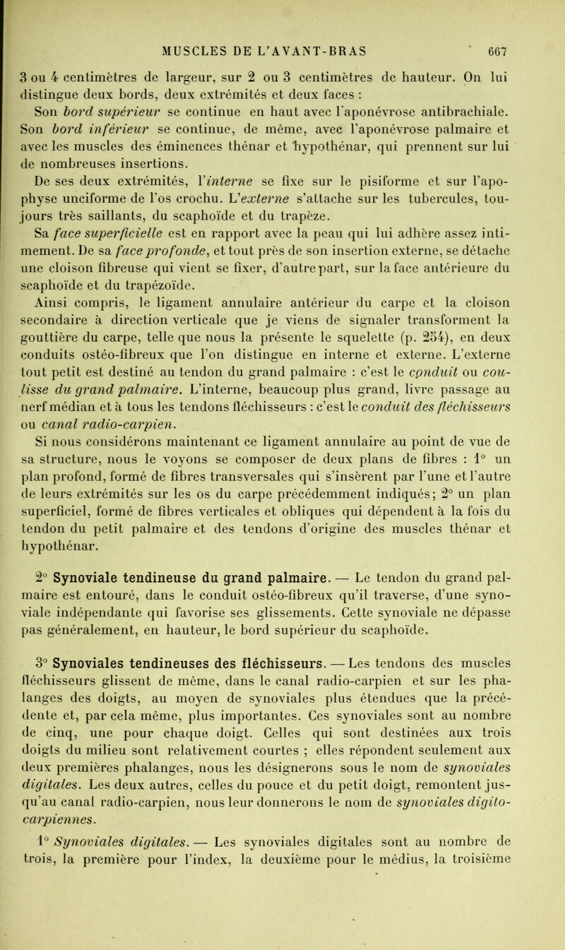 3 ou 4 centimètres de largeur, sur 2 ou 3 centimètres de hauteur. On lui distingue deux bords, deux extrémités et deux faces : Son bord supérieur se continue en haut avec l'aponévrose antibrachiale. Son bord inférieur se continue, de même, avec l’aponévrose palmaire et avec les muscles des éminences thénar et liypothénar, qui prennent sur lui de nombreuses insertions. De ses deux extrémités, Vinterne se fixe sur le pisiforme et sur l’apo- physe unciforme de l’os crochu. Vexterne s’attache sur les tubercules, tou- jours très saillants, du scaphoïde et du trapèze. Sa face superficielle est en rapport avec la peau qui lui adhère assez inti- mement. De sa face profonde^ et tout près de son insertion externe, se détache une cloison fibreuse qui vient se fixer, d’autre part, sur la face antérieure du scaphoïde et du trapézoïde. Ainsi compris, le ligament annulaire antérieur du carpe et la cloison secondaire à direction verticale que je viens de signaler transforment la gouttière du carpe, telle que nous la présente le squelette (p. 254), en deux conduits ostéo-fibreux que l’on distingue en interne et externe. L’externe tout petit est destiné au tendon du grand palmaire : c’est le conduit ou cou- lisse du grand palmaire. L’interne, beaucoup plus grand, livre passage au nerf médian et à tous les tendons fléchisseurs : c’est conduit des fléchisseurs ou canal radio-carpien. Si nous considérons maintenant ce ligament annulaire au point de vue de sa structure, nous le voyons se composer de deux plans de fibres : 1° un plan profond, formé de fibres transversales qui s’insèrent par l’une et l’autre de leurs extrémités sur les os du carpe précédemment indiqués; 2° un plan superficiel, formé de fibres verticales et obliques qui dépendent à la fois du tendon du petit palmaire et des tendons d’origine des muscles thénar et hypothénar. 2® Synoviale tendineuse du grand palmaire. — Le tendon du grand pal- maire est entouré, dans le conduit ostéo-fibreux qu’il traverse, d’une syno- viale indépendante qui favorise ses glissements. Cette synoviale ne dépasse pas généralement, en hauteur, le bord supérieur du scaphoïde. 3° Synoviales tendineuses des fléchisseurs. — Les tendons des muscles fléchisseurs glissent de même, dans le canal radio-carpien et sur les pha- langes des doigts, au moyen de synoviales plus étendues que la précé- dente et, par cela même, plus importantes. Ces synoviales sont au nombre de cinq, une pour chaque doigt. Celles qui sont destinées aux trois doigts du milieu sont relativement courtes ; elles répondent seulement aux deux premières phalanges, nous les désignerons sous le nom de synoviales digitales. Les deux autres, celles du pouce et du petit doigt, remontent jus- qu’au canal radio-carpien, nous leur donnerons le nom de synoviales digito- carpiennes. Synoviales digitales. — Les synoviales digitales sont au nombre de trois, la première pour l’index, la deuxième pour le médius, la troisième