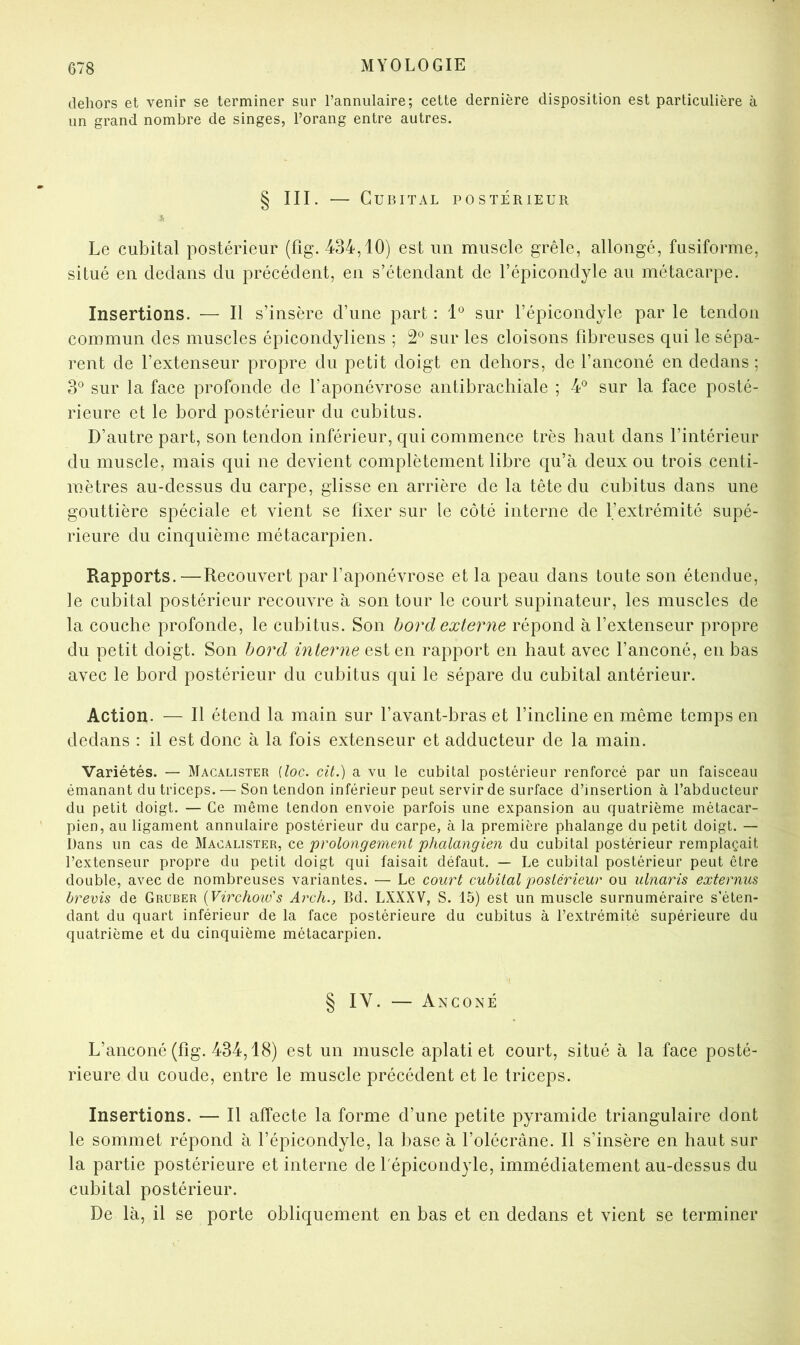 dehors et venir se terminer sur l’annulaire; cette dernière disposition est particulière à un grand nombre de singes, l’orang entre autres. § III. — Cubital postérieur s, Le cubital postérieur (fig. 434,10) est un muscle grêle, allongé, fusiforme, situé en dedans du précédent, en s’étendant de l’épicondyle au métacarpe. Insertions. — Il s’insère d’une part : 1® sur l’épicondyle par le tendon commun des muscles épicondyliens ; 2° sur les cloisons fibreuses qui le sépa- rent de l’extenseur propre du petit doigt en dehors, de l’anconé en dedans ; S° sur la face profonde de l’aponévrose antibrachiale ; 4® sur la face posté- rieure et le bord postérieur du cubitus. D’autre part, son tendon inférieur, qui commence très haut dans l’intérieur du muscle, mais qui ne devient complètement libre qu’à deux ou trois centi- mètres au-dessus du carpe, glisse en arrière de la tête du cubitus dans une gouttière spéciale et vient se fixer sur le côté interne de l’extrémité supé- rieure du cinquième métacarpien. Rapports.—Recouvert par l’aponévrose et la peau dans toute son étendue, le cubital postérieur recouvre à son tour le court supinateur, les muscles de la couche profonde, le cubitus. Son bord externe répond à l’extenseur propre du petit doigt. Son bord interne est en rapport en haut avec l’anconé, en bas avec le bord postérieur du cubitus qui le sépare du cubital antérieur. Action. — Il étend la main sur l’avant-bras et l’incline en même temps en dedans : il est donc à la fois extenseur et adducteur de la main. Variétés. — Macalister [toc. cit.) a vu le cubital postérieur renforcé par un faisceau émanant du triceps. — Son tendon inférieur peut servir de surface d’insertion à l’abducteur du petit doigt. — Ce même tendon envoie parfois une expansion au quatrième métacar- pien, au ligament annulaire postérieur du carpe, à la première phalange du petit doigt. — Dans un cas de Macalister, ce prolongement phalangien du cubital postérieur remplaçait l’extenseur propre du petit doigt qui faisait défaut. — Le cubital postérieur peut être double, avec de nombreuses variantes. ■— Le court cubital postérieur ou ulnaris externus hrevis de Gruber [Virchoio's Arch., Bd. LXXXV, S. 15) est un muscle surnuméraire s’éten- dant du quart inférieur de la face postérieure du cubitus à l’extrémité supérieure du quatrième et du cinquième métacarpien. § IV. — Anconé L’anconé (fig. 434,18) est un muscle aplati et court, situé à la face posté- rieure du coude, entre le muscle précédent et le triceps. Insertions. — Il affecte la forme d’une petite pyramide triangulaire dont le sommet répond à l’épicondyle, la base à l’olécrâne. Il s’insère en haut sur la partie postérieure et interne de l'épicondyle, immédiatement au-dessus du cubital postérieur. De là, il se porte obliquement en bas et en dedans et vient se terminer