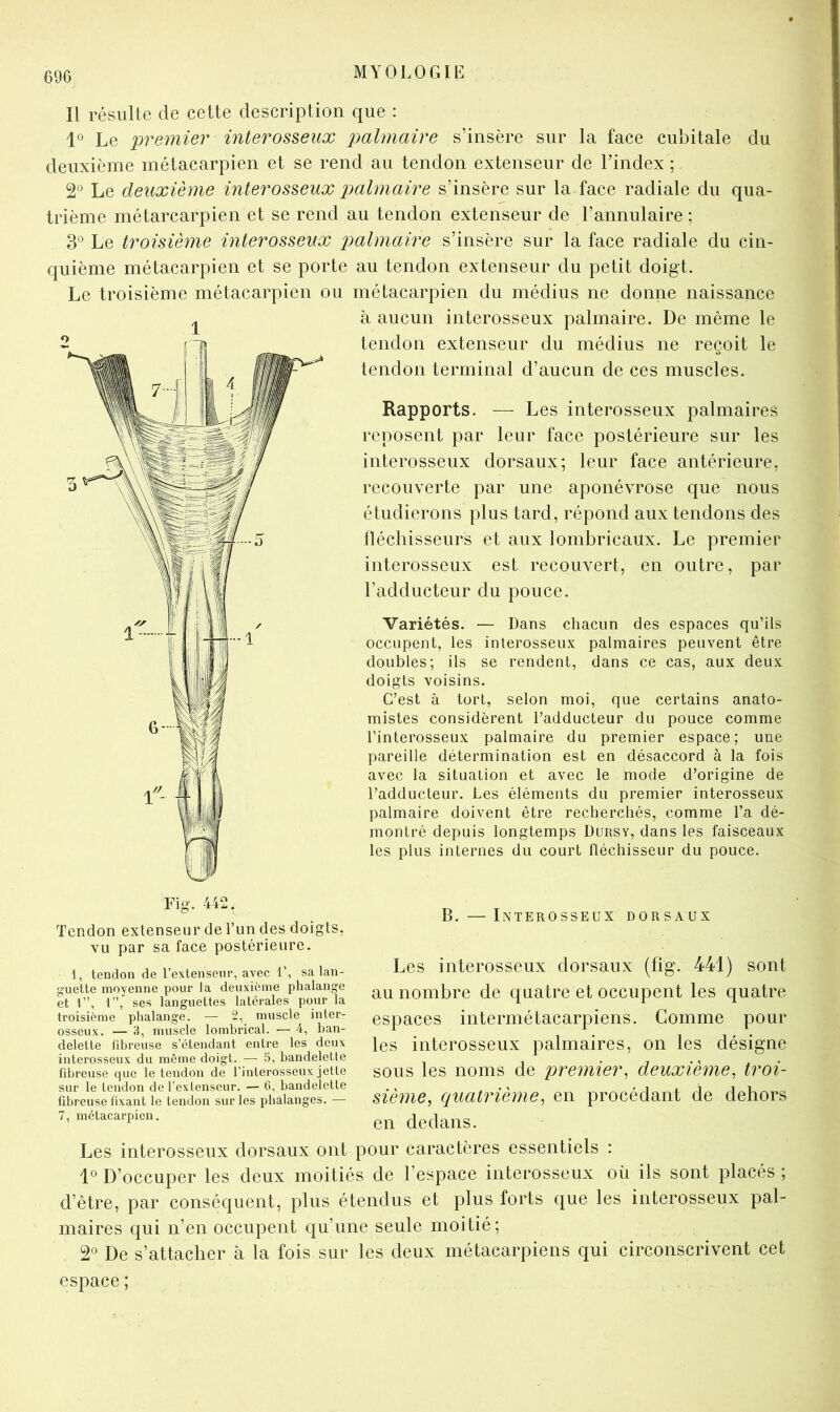 69G Il résulte de cette description que : 1° Le premier interosseux p)almaire s’insère sur la face cubitale du deuxième métacarpien et se rend au tendon extenseur de l’index ; 2® Le deuxième interosseux palmaire s’insère sur la face radiale du qua- trième métarcarpien et se rend au tendon extenseur de l’annulaire ; 3® Le troisième interosseux palmaire s’insère sur la face radiale du cin- quième métacarpien et se porte au tendon extenseur du petit doigt. Le troisième métacarpien ou métacarpien du médius ne donne naissance à aucun interosseux palmaire. De même le tendon extenseur du médius ne reçoit le tendon terminal d’aucun de ces muscles. Rapports. — Les interosseux palmaires reposent par leur face postérieure sur les interosseux dorsaux; leur face antérieure, recouverte par une aponévrose que nous étudierons plus tard, répond aux tendons des llécliisseurs et aux lombricaux. Le premier interosseux est recouvert, en outre, par l’adducteur du pouce. Variétés. — Dans chacun des espaces qu’ils occupent, les interosseux palmaires peuvent être doubles; ils se rendent, dans ce cas, aux deux doigts voisins. C’est à tort, selon moi, que certains anato- mistes considèrent l’adducteur du pouce comme l’interosseux palmaire du premier espace; une pareille détermination est en désaccord à la fois avec la situation et avec le mode d’origine de l’adducteur. Les éléments du premier interosseux palmaire doivent être recherchés, comme l’a dé- montré depuis longtemps Dursy, dans les faisceaux les plus internes du court fléchisseur du pouce. Tendon extenseur de l’un des doigts, vu par sa face postérieure. B.—Interosseux dorsaux Les iiiterosseiix dorsaux (fig. 441) sont au nombre de quatre et occupent les quatre espaces intermétacarpiens. Comme pour les interosseux palmaires, on les désigne sous les noms de premier^ deuxième, troi- sième, quatrième, en procédant de dehors en dedans. Les interosseux dorsaux ont pour caractères essentiels : D’occuper les deux moitiés de l’espace interosseux où ils sont placés ; d’être, par conséquent, plus étendus et plus forts que les interosseux pal- maires qui n’en occupent qu’une seule moitié; 2° De s’attacher à la fois sur les deux métacarpiens qui circonscrivent cet espace ; 1, tendon de l’extenseur, avec 1’, sa lan- guette moyenne pour la deuxième phalange et 1”, 1”, ses languettes latérales pour la troisième phalange. — 2, muscle inter- osseux. — 3, muscle lombrical. — 4, ban- delette fibreuse s’étendant entre les deux interosseux du même doigt. — 5, bandelette fibreuse que le tendon de l’interosseux jette sur le tendon de l’extenseur. — G, bandelette fibreuse fixant le tendon sur les phalanges. — 7, métacarpien.