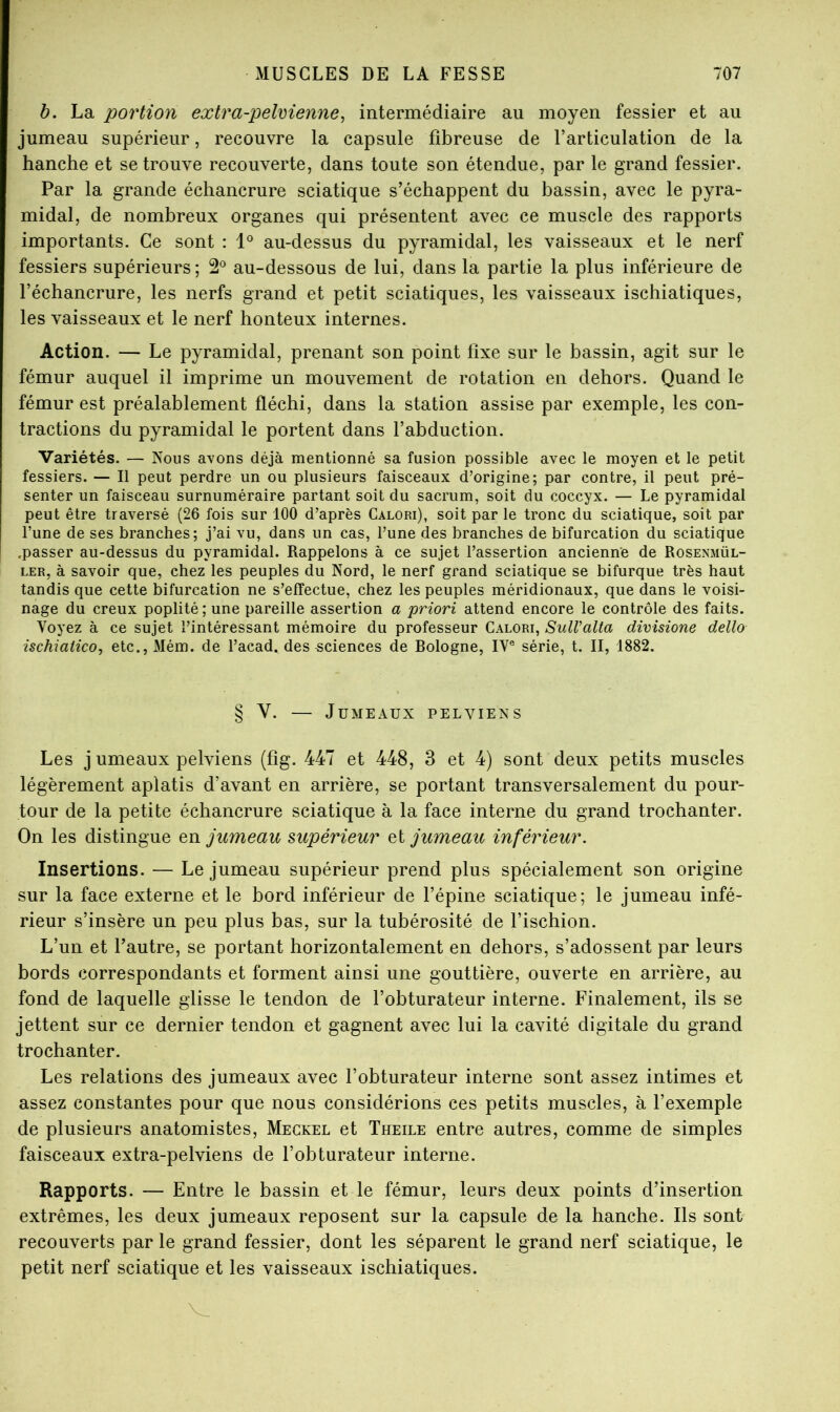 b. La portion extra-pelvienne^ intermédiaire au moyen fessier et au jumeau supérieur, recouvre la capsule fibreuse de l’articulation de la hanche et se trouve recouverte, dans toute son étendue, par le grand fessier. Par la grande échancrure sciatique s’échappent du bassin, avec le pyra- midal, de nombreux organes qui présentent avec ce muscle des rapports importants. Ce sont : 1° au-dessus du pyramidal, les vaisseaux et le nerf fessiers supérieurs ; 2® au-dessous de lui, dans la partie la plus inférieure de l’échancrure, les nerfs grand et petit sciatiques, les vaisseaux ischiatiques, les vaisseaux et le nerf honteux internes. Action. — Le pyramidal, prenant son point fixe sur le bassin, agit sur le fémur auquel il imprime un mouvement de rotation en dehors. Quand le fémur est préalablement fléchi, dans la station assise par exemple, les con- tractions du pyramidal le portent dans l’abduction. Variétés. — Nous avons déjà mentionné sa fusion possible avec le moyen et le petit fessiers. — Il peut perdre un ou plusieurs faisceaux d’origine; par contre, il peut pré- senter un faisceau surnuméraire partant soit du sacrum, soit du coccyx. — Le pyramidal peut être traversé (26 fois sur 100 d’après Calori), soit par le tronc du sciatique, soit par l’une de ses branches; j’ai vu, dans un cas, l’une des branches de bifurcation du sciatique .passer au-dessus du pyramidal. Rappelons à ce sujet l’assertion ancienne de Rosenmül- LER, à savoir que, chez les peuples du Nord, le nerf grand sciatique se bifurque très haut tandis que cette bifurcation ne s’effectue, chez les peuples méridionaux, que dans le voisi- nage du creux poplité; une pareille assertion a priori attend encore le contrôle des faits. Voyez à ce sujet l’intéressant mémoire du professeur Calori, SulValta divisione dello ischiaiico, etc.,Mém. de l’acad. des sciences de Rologne, IV® série, t. II, 1882. § Y. — Jumeaux pelviens Les j umeaux pelviens (fîg. 447 et 448, 3 et 4) sont deux petits muscles légèrement aplatis d’avant en arrière, se portant transversalement du pour- tour de la petite échancrure sciatique à la face interne du grand trochanter. On les distingue en jumeau supérieur et jumeau inférieur. Insertions. — Le jumeau supérieur prend plus spécialement son origine sur la face externe et le bord inférieur de l’épine sciatique; le jumeau infé- rieur s’insère un peu plus bas, sur la tubérosité de l’ischion. L’un et l’autre, se portant horizontalement en dehors, s’adossent par leurs bords correspondants et forment ainsi une gouttière, ouverte en arrière, au fond de laquelle glisse le tendon de l’obturateur interne. Finalement, ils se jettent sur ce dernier tendon et gagnent avec lui la cavité digitale du grand trochanter. Les relations des jumeaux avec l’obturateur interne sont assez intimes et assez constantes pour que nous considérions ces petits muscles, à l’exemple de plusieurs anatomistes, Meckel et Theile entre autres, comme de simples faisceaux extra-pelviens de l’obturateur interne. Rapports. — Entre le bassin et le fémur, leurs deux points d’insertion extrêmes, les deux jumeaux reposent sur la capsule de la hanche. Ils sont recouverts par le grand fessier, dont les séparent le grand nerf sciatique, le petit nerf sciatique et les vaisseaux ischiatiques.
