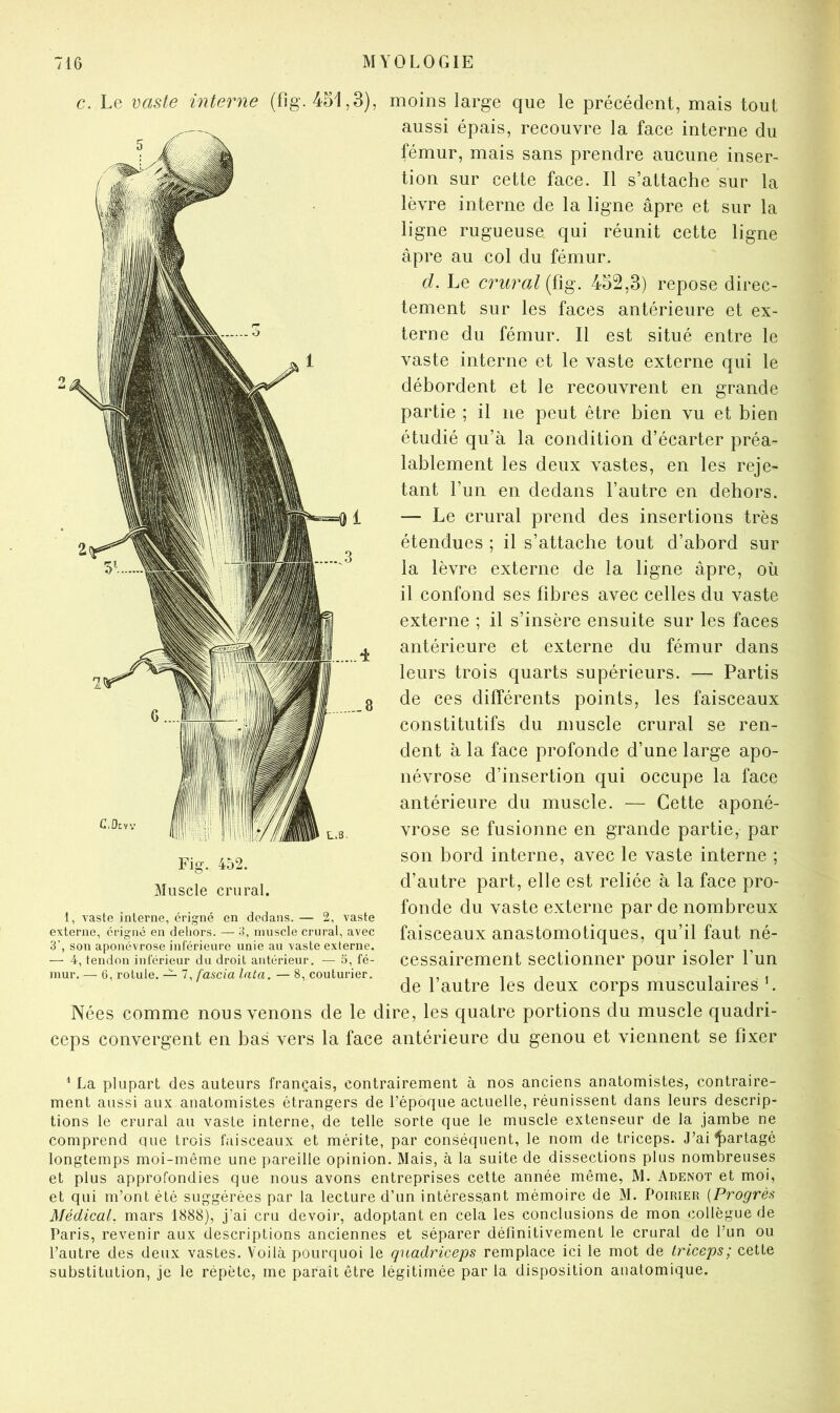 c. Le '\^aste interne (fîg. 451,3), Fig-. 452. Muscle crural. I, vaste interne, origné en dedans. — 2, vaste externe, origné en deliors. — muscle crural, avec 3’, son aponévrose inférieure unie au vaste externe. — 4, tendon inférieur du droit antérieur. — 5, fé- mur. — 6, rotule. — 7, fascia lata. — 8, couturier. Nées comme nous venons de le d ceps convergent en bas vers la face moins large que le précédent, mais tout aussi épais, recouvre la face interne du fémur, mais sans prendre aucune inser- tion sur cette face. Il s’attache sur la lèvre interne de la ligne âpre et sur la ligne rugueuse qui réunit cette ligne âpre au col du fémur. d. Le crural (fig. 452,3) repose direc- tement sur les faces antérieure et ex- terne du fémur. Il est situé entre le vaste interne et le vaste externe qui le débordent et le recouvrent en grande partie ; il ne peut être bien vu et bien étudié qu’à la condition d’écarter préa- lablement les deux vastes, en les reje- tant l’un en dedans l’autre en dehors. — Le crural prend des insertions très étendues ; il s’attache tout d’abord sur la lèvre externe de la ligne âpre, où il confond ses fibres avec celles du vaste externe ; il s’insère ensuite sur les faces antérieure et externe du fémur dans leurs trois quarts supérieurs. — Partis de ces différents points, les faisceaux constitutifs du muscle crural se ren- dent à la face profonde d’une large apo- névrose d’insertion qui occupe la face antérieure du muscle. — Cette aponé- vrose se fusionne en grande partie, par son bord interne, avec le vaste interne ; d’autre part, elle est reliée à la face pro- fonde du vaste externe par de nombreux faisceaux anastomotiques, qu’il faut né- cessairement sectionner pour isoler l’un de l’autre les deux corps musculaires L ire, les quatre portions du muscle quadri- antérieure du genou et viennent se fixer ^ La plupart des auteurs français, contrairement à nos anciens anatomistes, contraire- ment aussi aux anatomistes étrangers de l’époque actuelle, réunissent dans leurs descrip- tions le crural au vaste interne, de telle sorte que le muscle extenseur de la jambe ne comprend que trois faisceaux et mérite, par conséquent, le nom de triceps. J’ai^^artagé longtemps moi-même une pareille opinion. Mais, à la suite de dissections plus nombreuses et plus approfondies que nous avons entreprises cette année même, M. Adenot et moi, et qui m’ont été suggérées par la lecture d’un intéressant mémoire de M. Poirier {Progrès Médical, mars 1888), j’ai cru devoii’, adoptant en cela les conclusions de mon collègue de Paris, revenir aux descriptions anciennes et séparer définitivement le crural de l’un ou l’autre des deux vastes. Voilà pourquoi le qnadriceps remplace ici le mot de triceps; cette substitution, je le répète, me paraît être légitimée par la disposition anatomique.