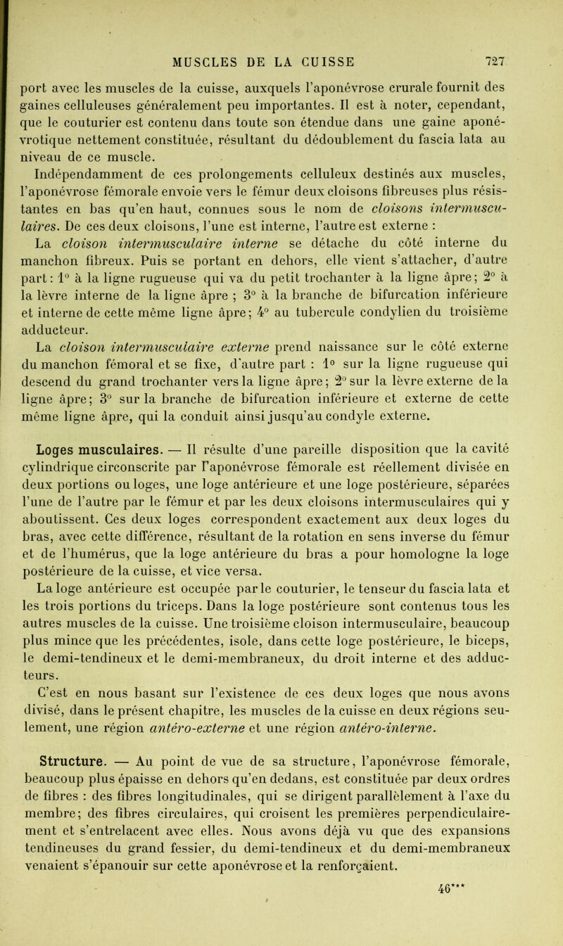 port avec les muscles de la cuisse, auxquels l’aponévrose crurale fournit des gaines celluleuses généralement peu importantes. Il est à noter, cependant, que le couturier est contenu dans toute son étendue dans une gaine aponé- vrotique nettement constituée, résultant du dédoublement du fascia lata au niveau de ce muscle. Indépendamment de ces prolongements celluleux destinés aux muscles, l’aponévrose fémorale envoie vers le fémur deux cloisons fibreuses plus résis- tantes en bas qu’en haut, connues sous le nom de cloisons intermuscu- laires. De ces deux cloisons, l’une est interne, l’autre est externe : La cloison intermusculaire interne se détache du côté interne du manchon fibreux. Puis se portant en dehors, elle vient s’attacher, d’autre part; 1*^ à la ligne rugueuse qui va du petit trochanter à la ligne âpre; 2° à la lèvre interne de la ligne âpre ; 3® à la branche de bifurcation inférieure et interne de cette même ligne âpre; 4° au tubercule condylien du troisième adducteur. La cloison intermusculaire externe prend naissance sur le côté externe du manchon fémoral et se fixe, d'autre part : sur la ligne rugueuse qui descend du grand trochanter vers la ligne âpre ; 2° sur la lèvre externe de la ligne âpre; 3° sur la branche de bifurcation inférieure et externe de cette même ligne âpre, qui la conduit ainsi jusqu’au condyle externe. Loges musculaires. — Il résulte d’une pareille disposition que la cavité cylindrique circonscrite par l’aponévrose fémorale est réellement divisée en deux portions ou loges, une loge antérieure et une loge postérieure, séparées l’une de l’autre par le fémur et par les deux cloisons intermusculaires qui y aboutissent. Ces deux loges correspondent exactement aux deux loges du bras, avec cette différence, résultant de la rotation en sens inverse du fémur et de l’humérus, que la loge antérieure du bras a pour homologue la loge postérieure de la cuisse, et vice versa. La loge antérieure est occupée parle couturier, le tenseur du fascia lata et les trois portions du triceps. Dans la loge postérieure sont contenus tous les autres muscles de la cuisse. Une troisième cloison intermusculaire, beaucoup plus mince que les précédentes, isole, dans cette loge postérieure, le biceps, le demi-tendineux et le demi-membraneux, du droit interne et des adduc- teurs. C’est en nous basant sur l’existence de ces deux loges que nous avons divisé, dans le présent chapitre, les muscles de la cuisse en deux régions seu- lement, une région antéro-externe et une région antéro-interne. Structure. — Au point de vue de sa structure, l’aponévrose fémorale, beaucoup plus épaisse en dehors qu’en dedans, est constituée par deux ordres de fibres : des fibres longitudinales, qui se dirigent parallèlement à l’axe du membre; des fibres circulaires, qui croisent les premières perpendiculaire- ment et s’entrelacent avec elles. Nous avons déjà vu que des expansions tendineuses du grand fessier, du demi-tendineux et du demi-membraneux venaient s’épanouir sur cette aponévrose et la renforçaient. 46***