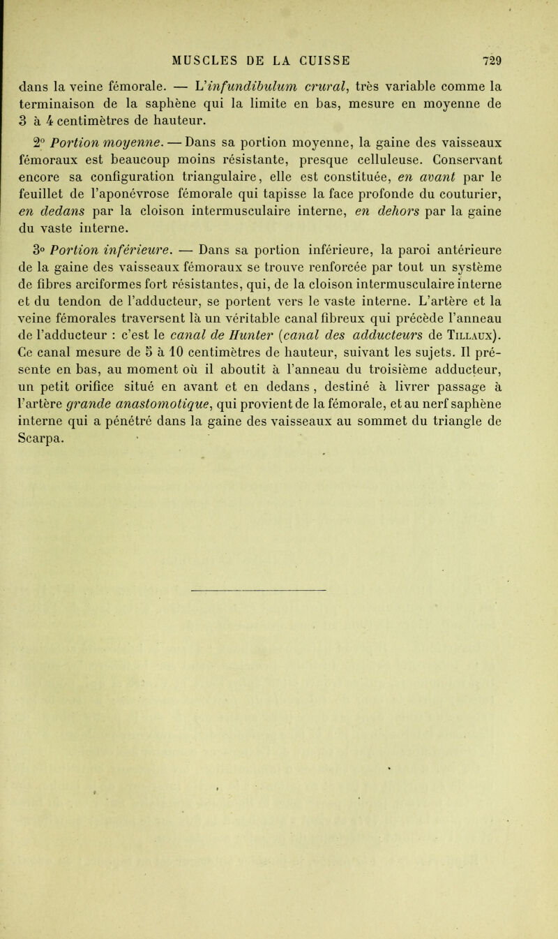 dans la veine fémorale. — Vinfundibulum crural^ très variable comme la terminaison de la saphène qui la limite en bas, mesure en moyenne de 3 à 4 centimètres de hauteur. 2° Portion moyenne. — Dans sa portion moyenne, la gaine des vaisseaux fémoraux est beaucoup moins résistante, presque celluleuse. Conservant encore sa configuration triangulaire, elle est constituée, en avant par le feuillet de l’aponévrose fémorale qui tapisse la face profonde du couturier, en dedans par la cloison intermusculaire interne, en dehors par la gaine du vaste interne. 3° Portion inférieure. — Dans sa portion inférieure, la paroi antérieure de la gaine des vaisseaux fémoraux se trouve renforcée par tout un système de fibres arciformes fort résistantes, qui, de la cloison intermusculaire interne et du tendon de l’adducteur, se portent vers le vaste interne. L’artère et la veine fémorales traversent là un véritable canal fibreux qui précède l’anneau de l’adducteur : c’est le canal de limiter [canal des adducteurs de Tillaux). Ce canal mesure de 3 à 10 centimètres de hauteur, suivant les sujets. Il pré- sente en bas, au moment où il aboutit à l’anneau du troisième adducteur, un petit orifice situé en avant et en dedans , destiné à livrer passage à l’artère grande anastomotique^ qui provient de la fémorale, et au nerf saphène interne qui a pénétré dans la gaine des vaisseaux au sommet du triangle de Scarpa. *